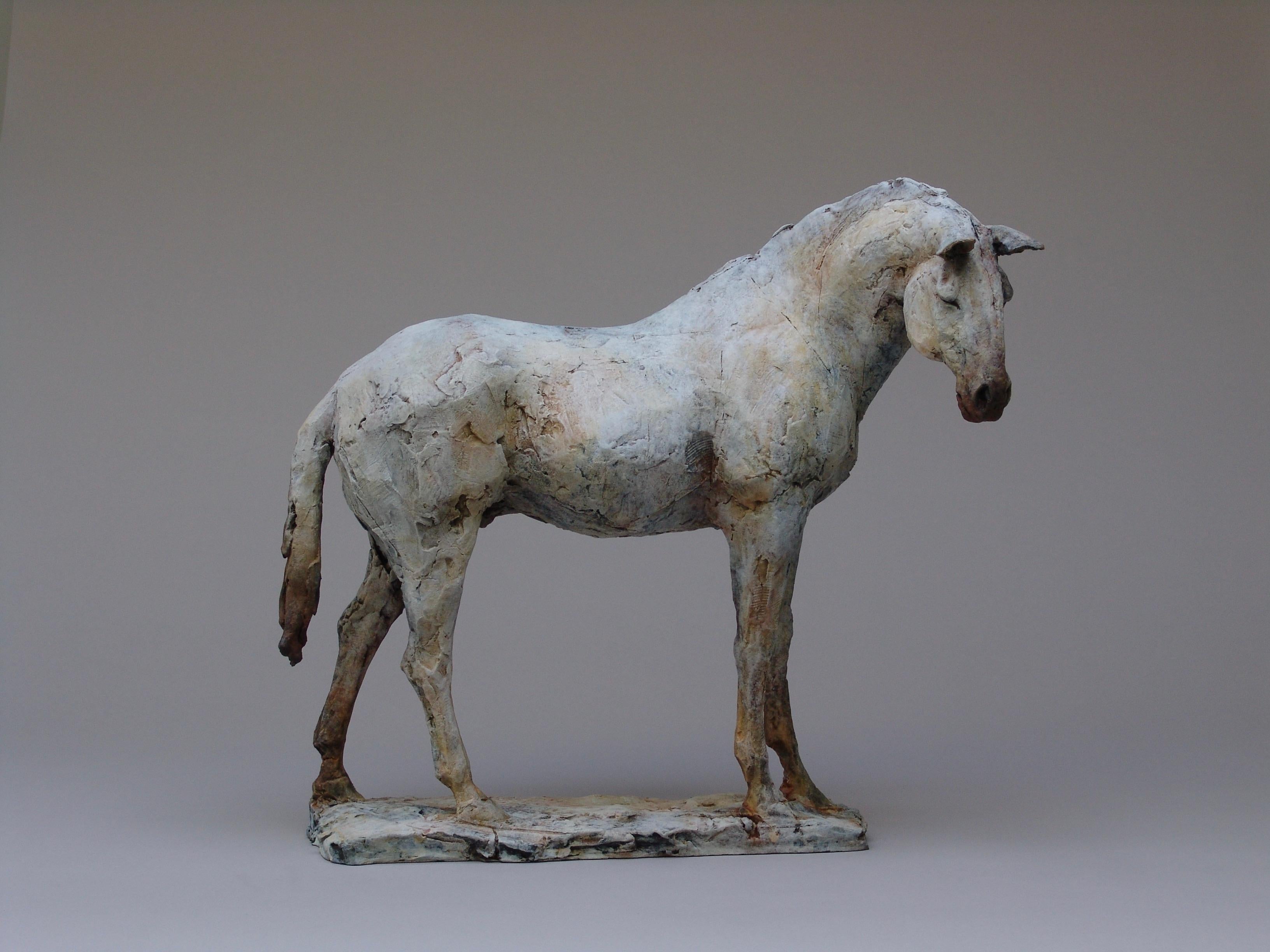 Nichola Theakston (1967) has established herself as one of the UK’s foremost contemporary sculptors working within the animal genre. 

With the ''Resting with Ancients'' Nichola shows how exquisite she can capture the feelings and expressions in an