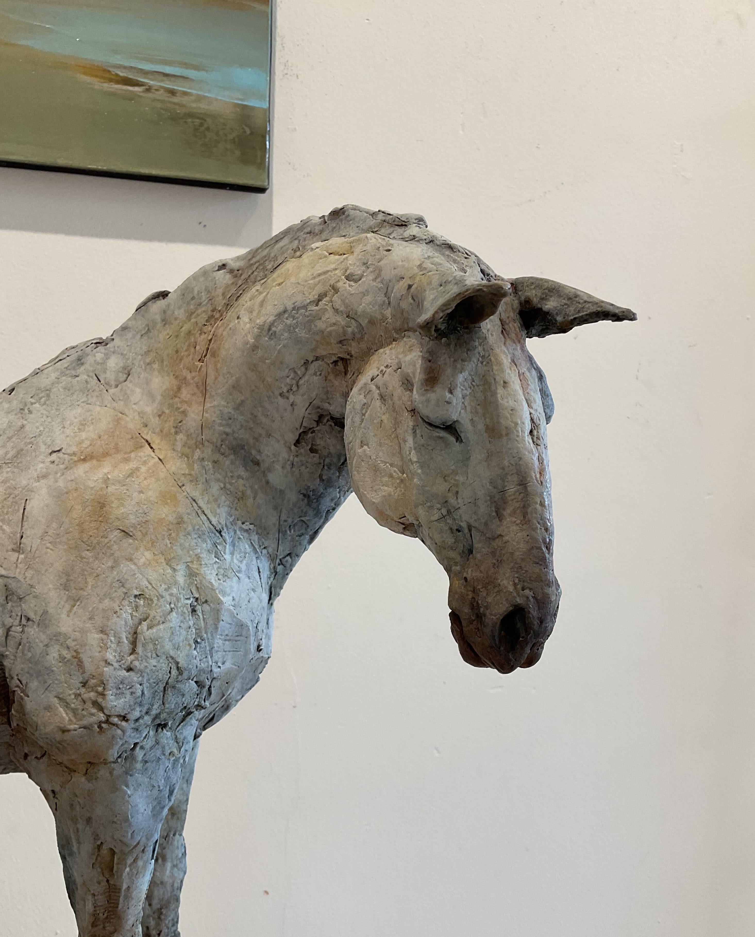 ''Resting with Ancients'', Contemporary Bronze Sculpture Portrait of a Horse 1