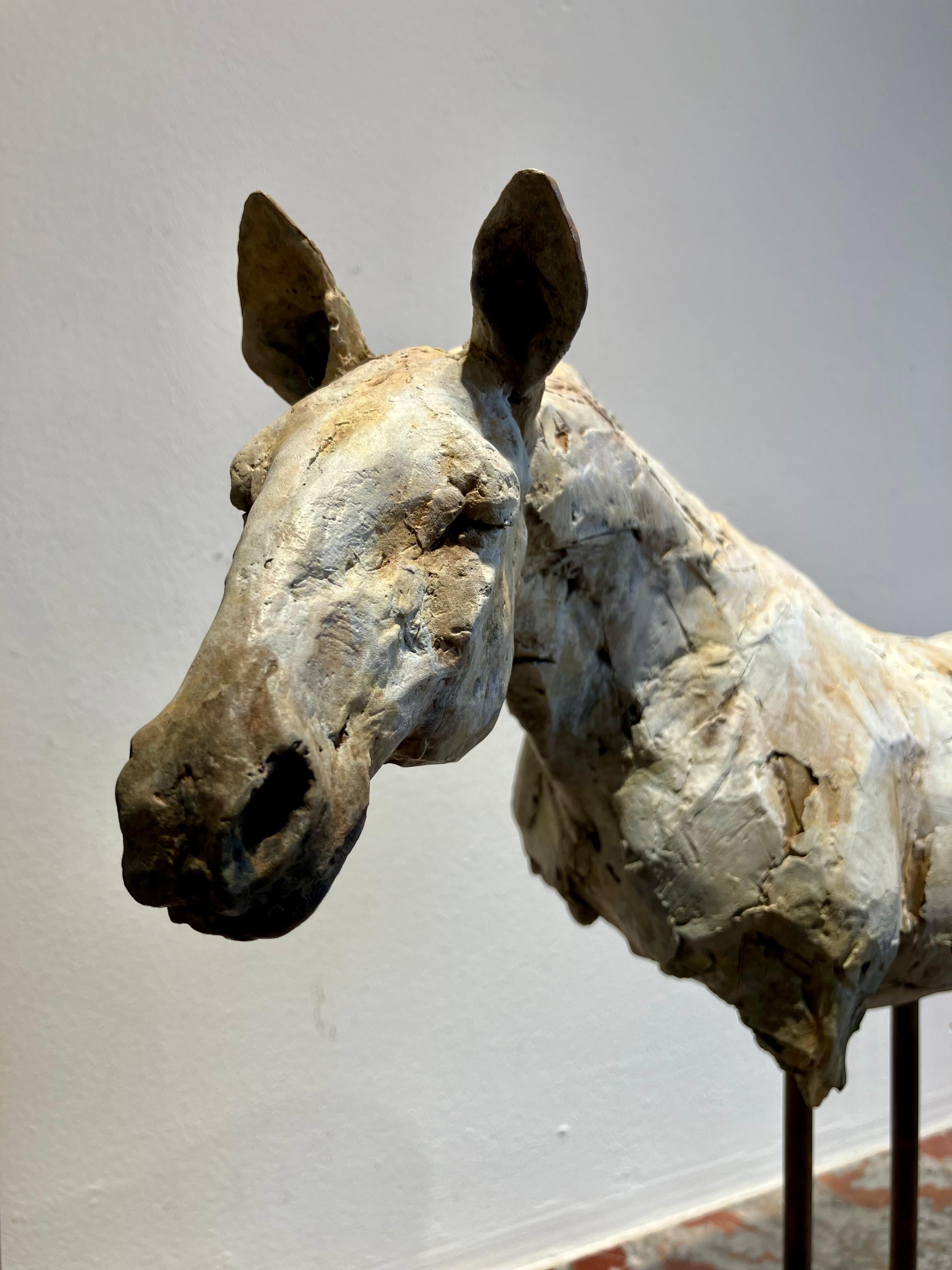 ''Repos avec les Anciens'', Sculpture contemporaine en bronze Portrait d'un cheval en vente 2