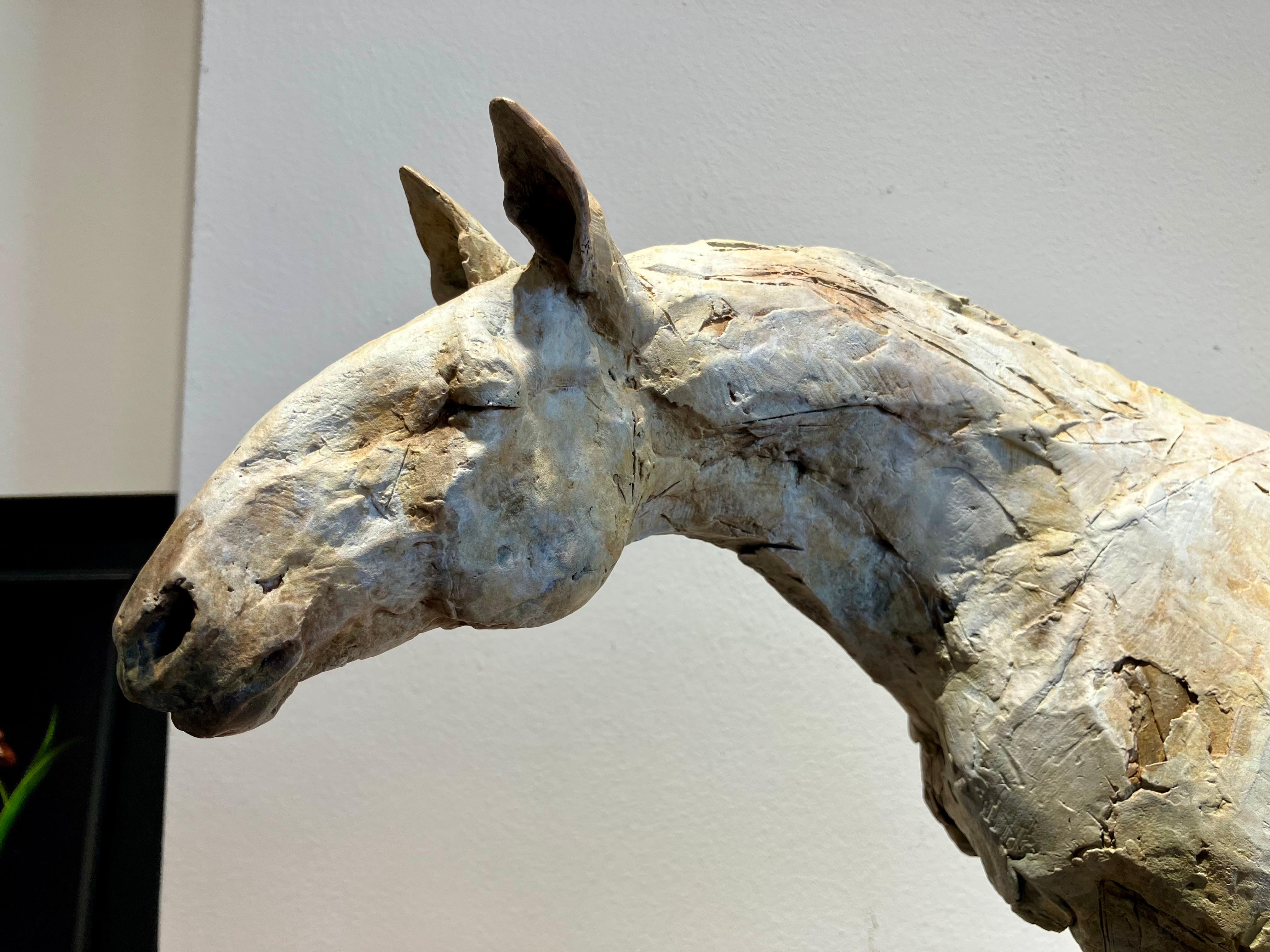 ''Repos avec les Anciens'', Sculpture contemporaine en bronze Portrait d'un cheval en vente 4