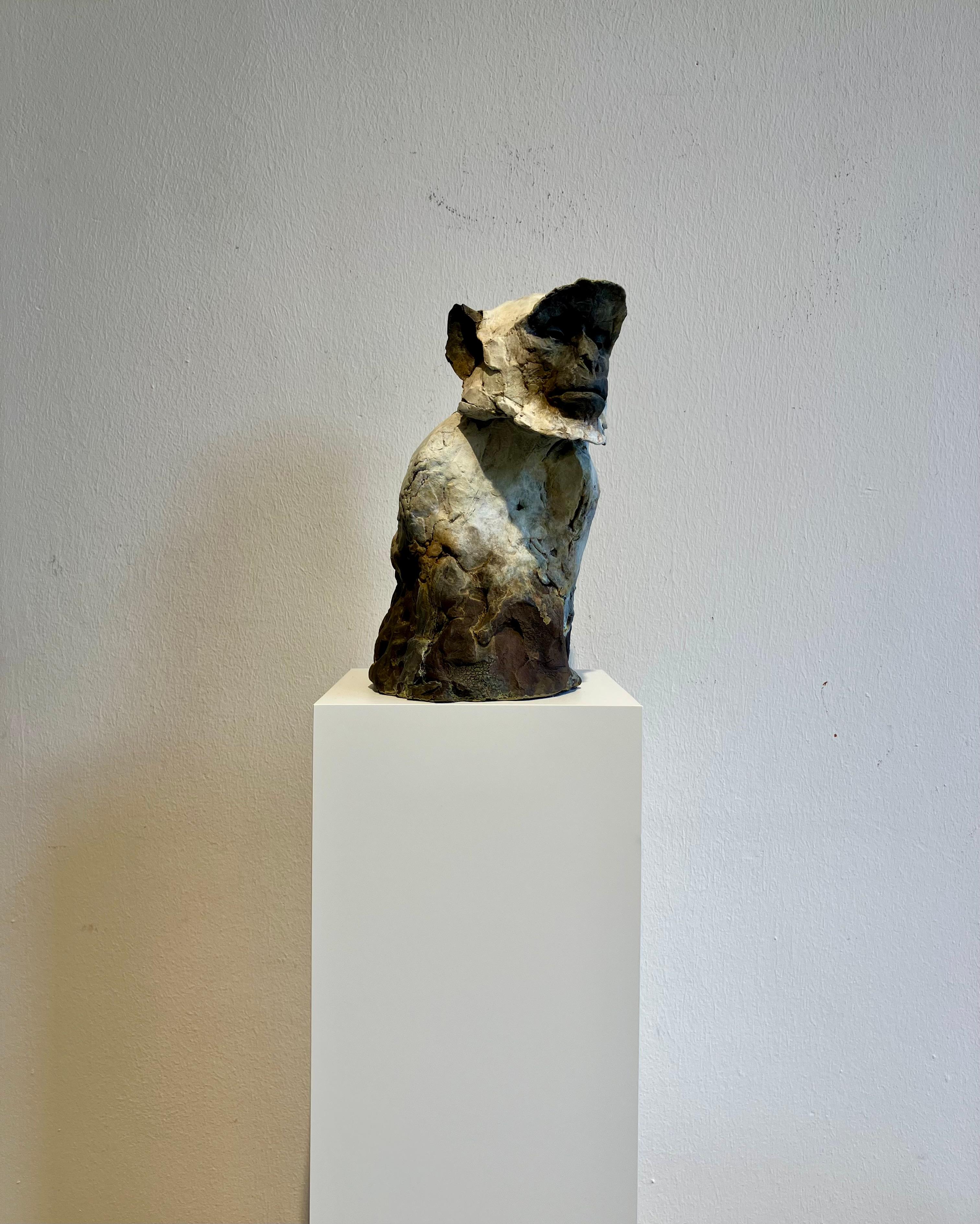 ''Sacred Langur 2'', scultura contemporanea in bronzo di un primate, una scimmia - Sculpture Contemporaneo di Nichola Theakston