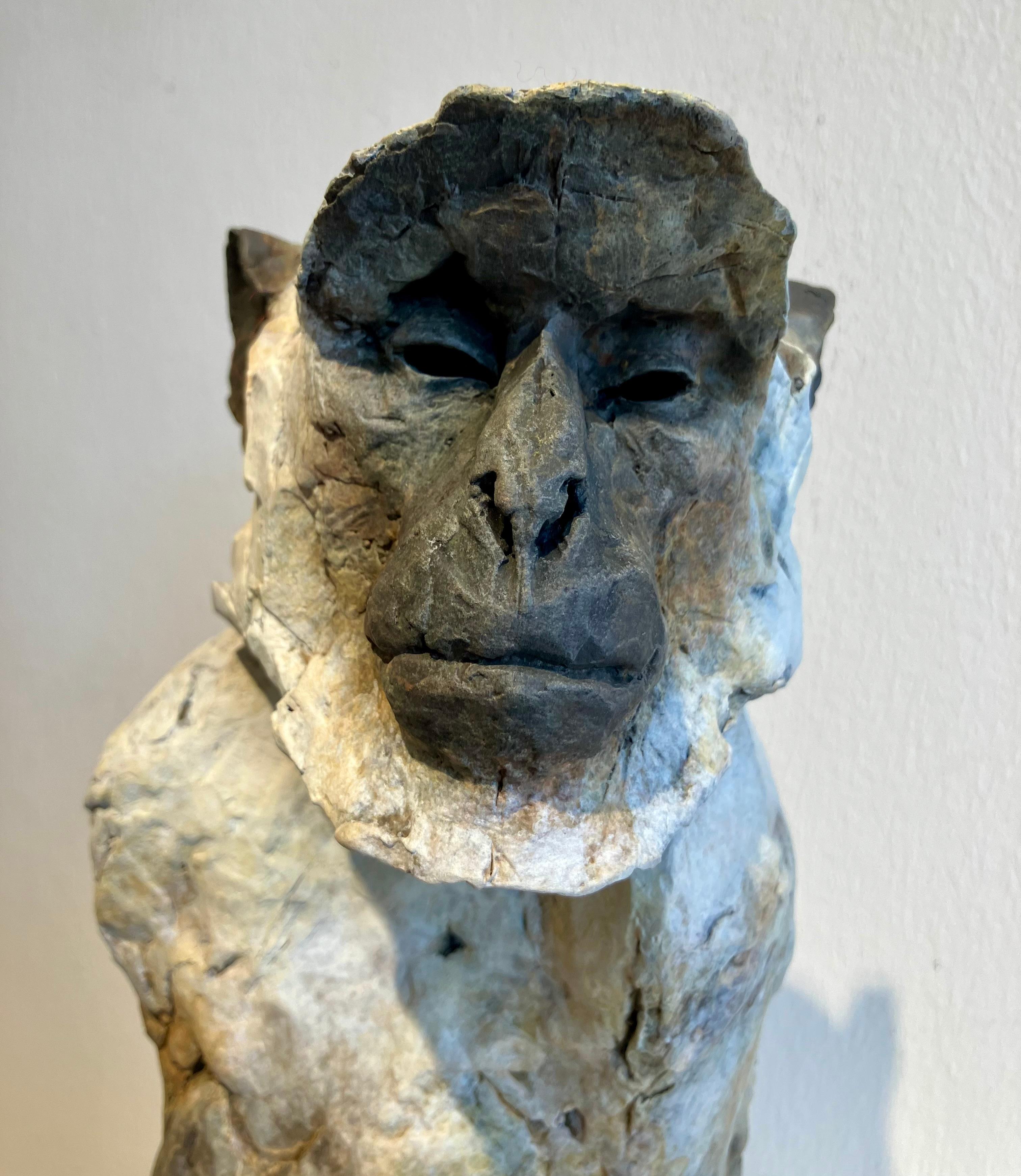 ''Sacred Langur 2'', scultura contemporanea in bronzo di un primate, una scimmia - Figurative Sculpture Oro di Nichola Theakston