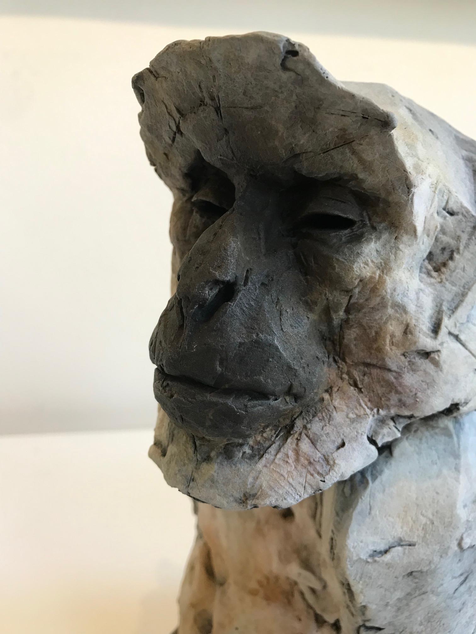 ''Sacred Langur 2'', Contemporary Bronze Sculpture of a Primate, Monkey 3