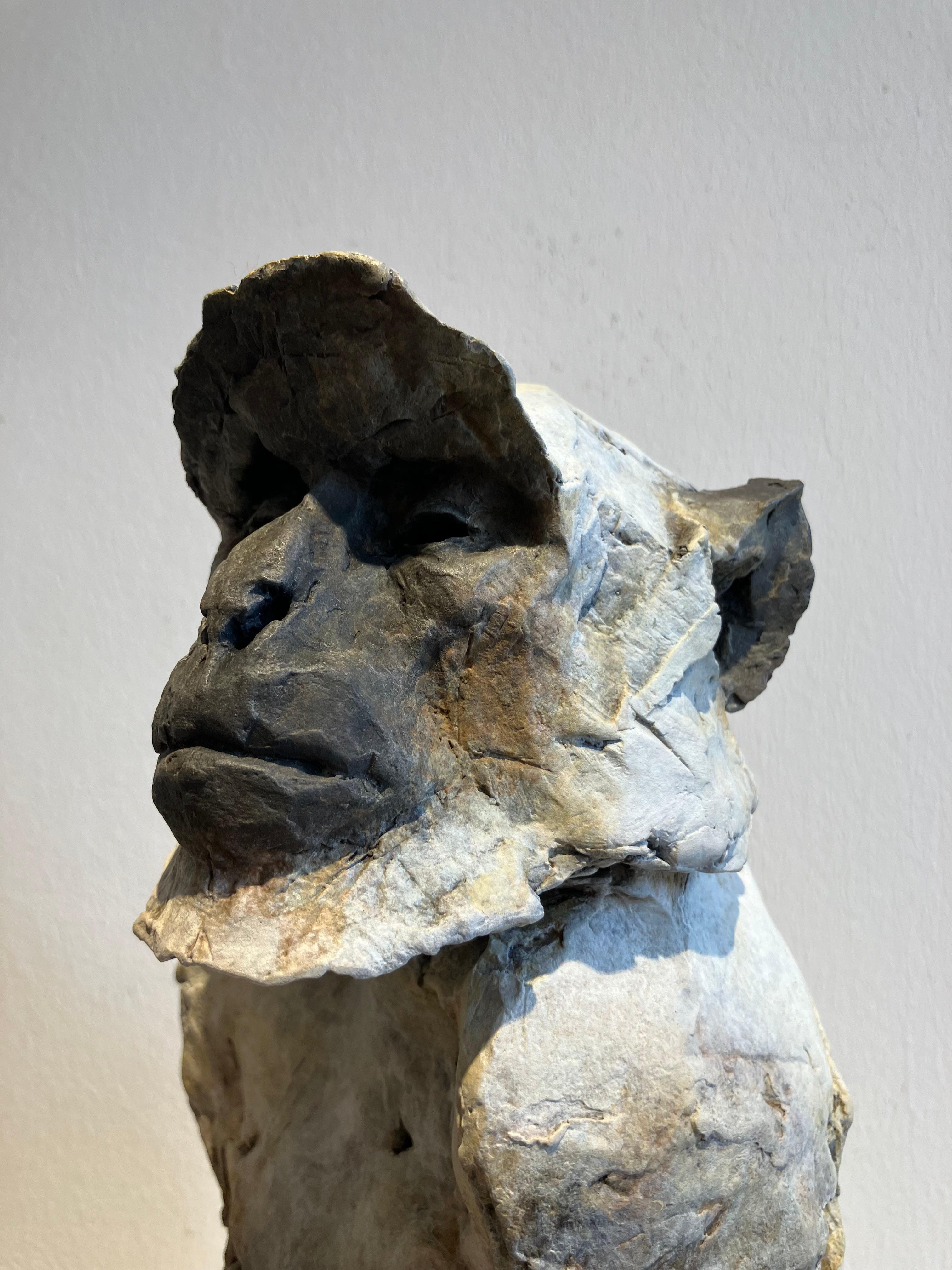 ''Sacred Langur 2'', scultura contemporanea in bronzo di un primate, una scimmia in vendita 3