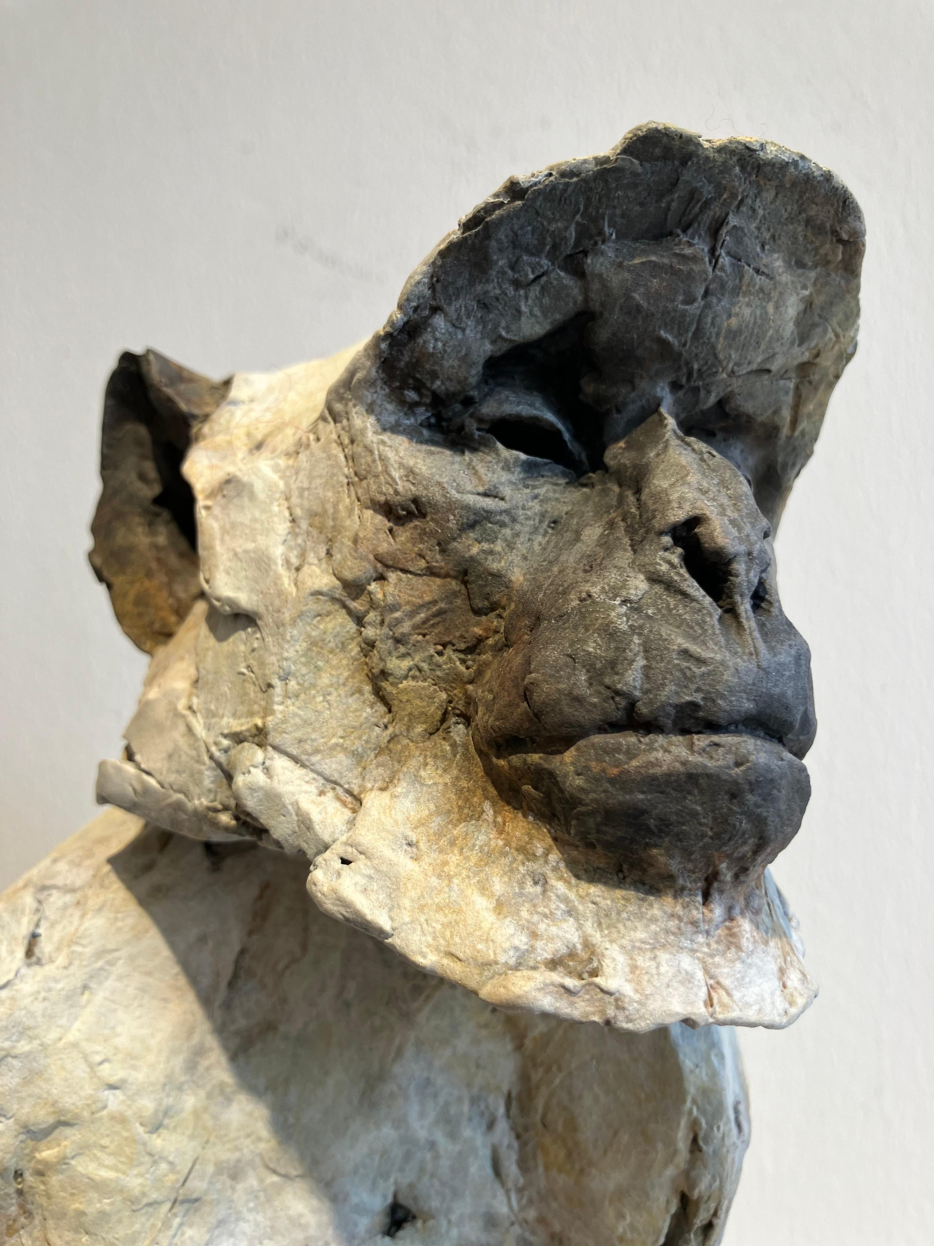 ''Sacred Langur 2'', scultura contemporanea in bronzo di un primate, una scimmia in vendita 4