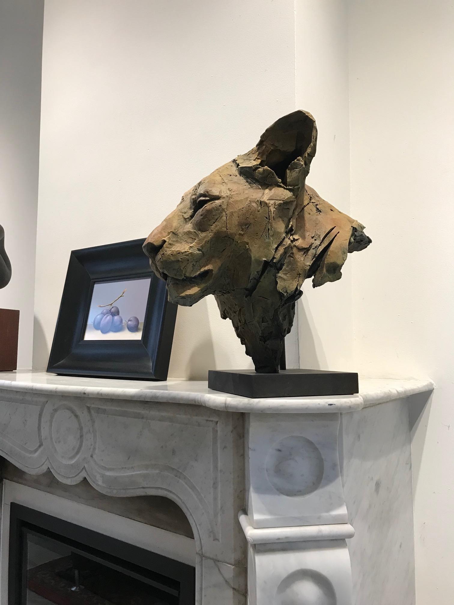 ''Sekhmet'', Contemporary Bronze Sculpture Portrait of a Lioness 5