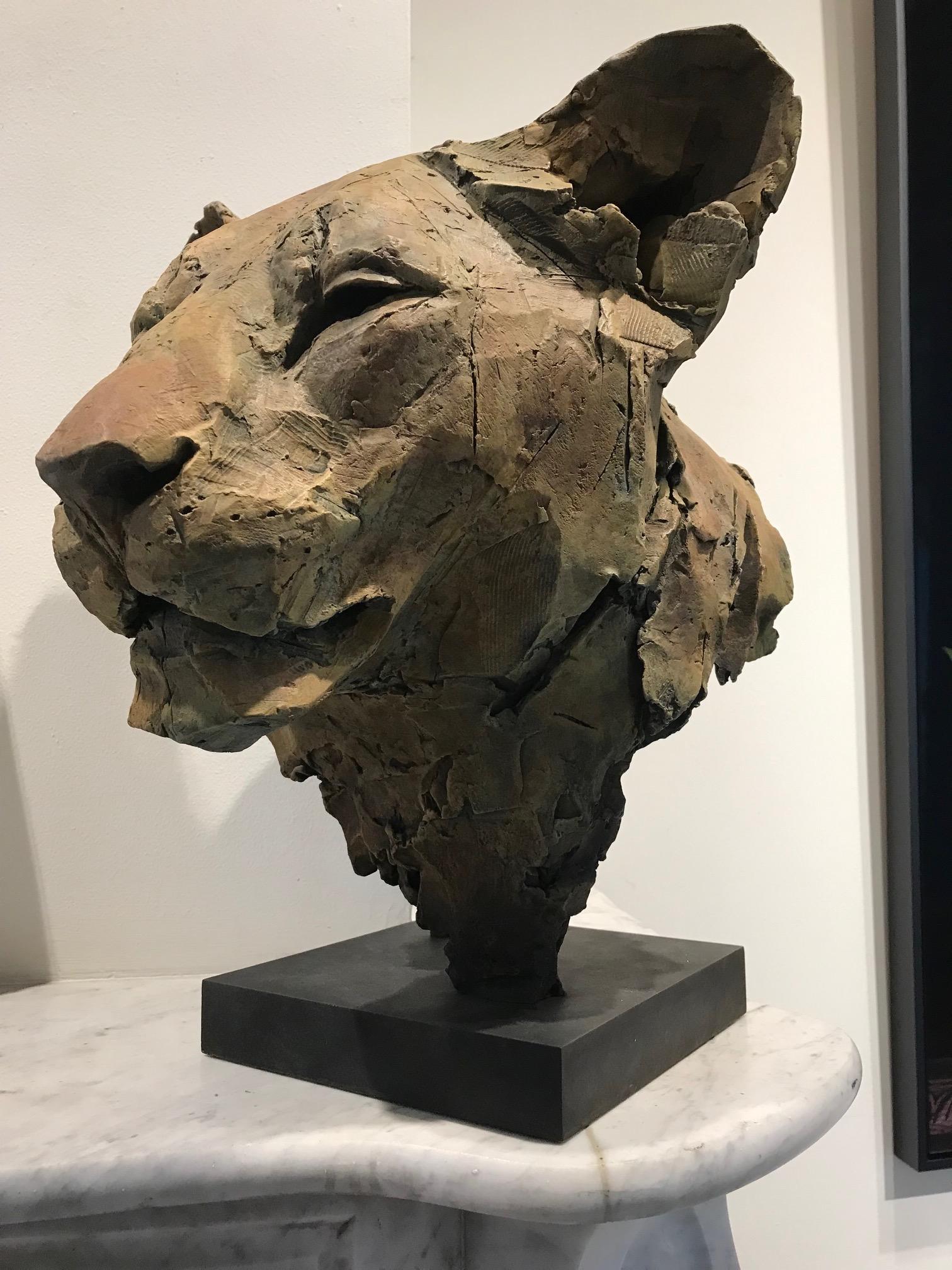 ''Sekhmet'', Contemporary Bronze Sculpture Portrait of a Lioness - Gold Figurative Sculpture by Nichola Theakston