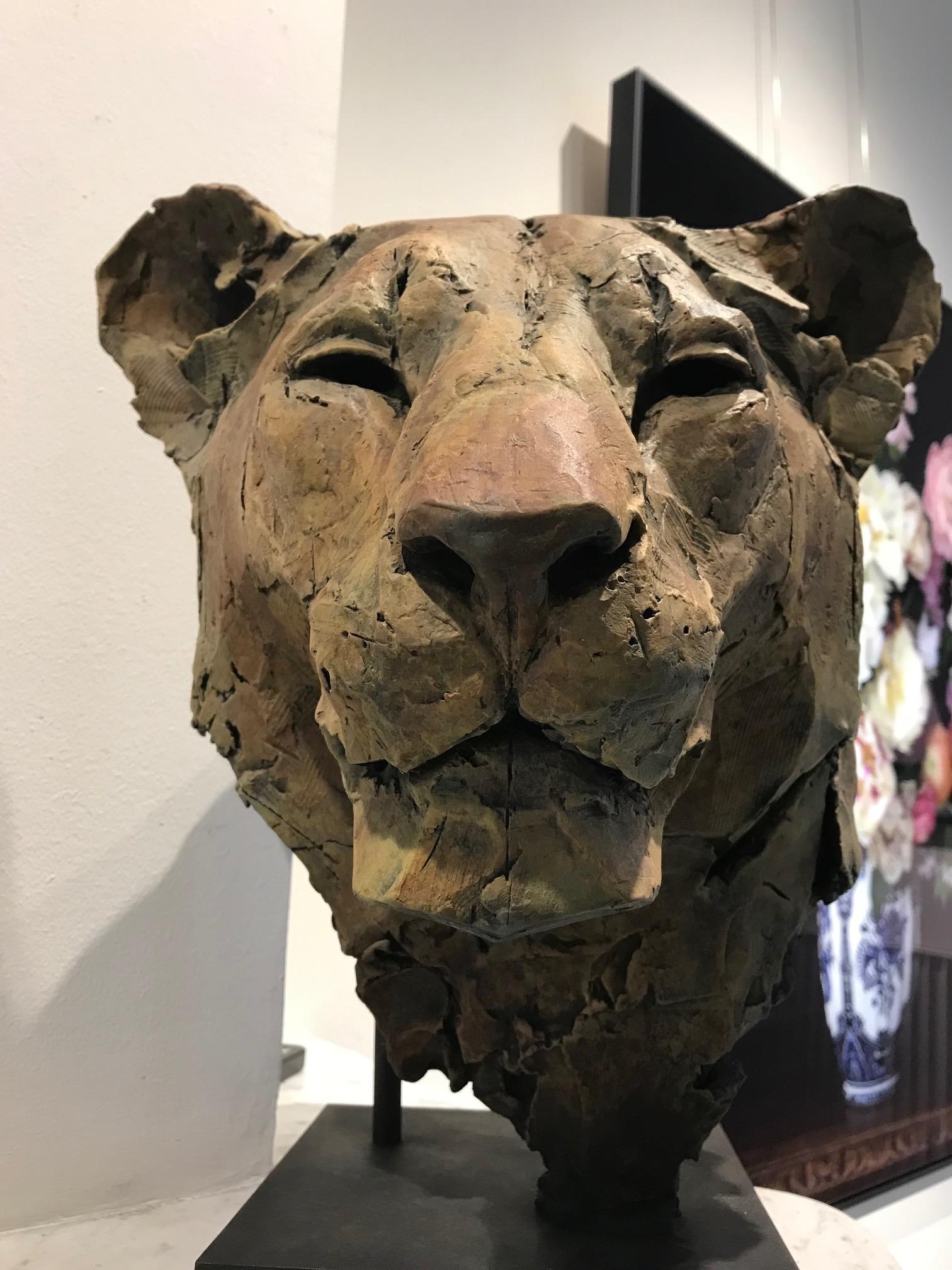 ''Sekhmet'', Contemporary Bronze Sculpture Portrait of a Lioness 1