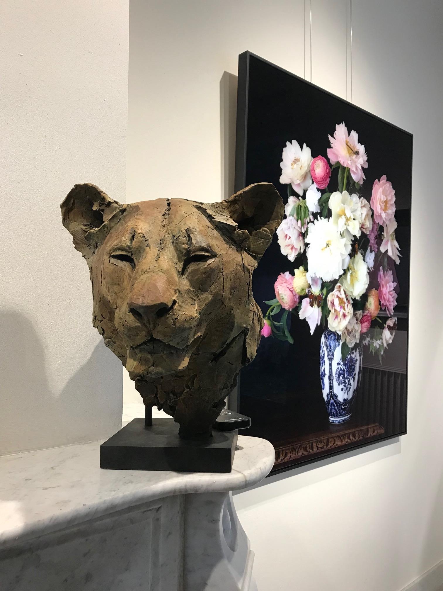 ''Sekhmet'', Contemporary Bronze Sculpture Portrait of a Lioness 3