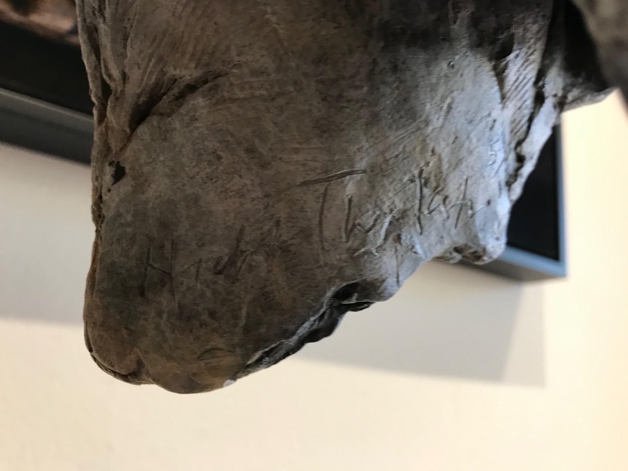 ''Sighthound'', Contemporary Bronze Sculpture Portrait of a Dog, Hound 6