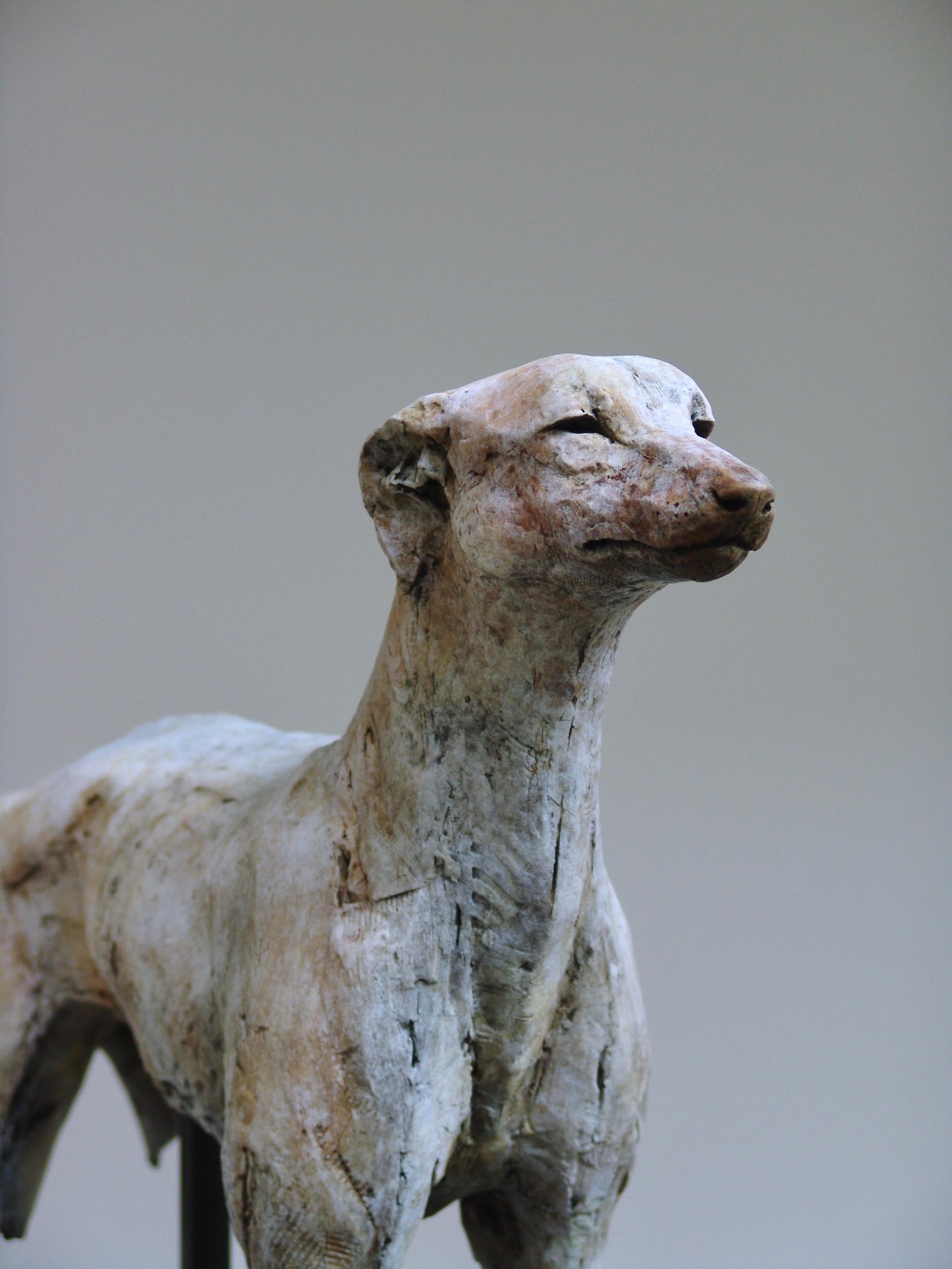 ''Sighthound'', Contemporary Bronze Sculpture Portrait of a Dog, Hound - Gold Figurative Sculpture by Nichola Theakston