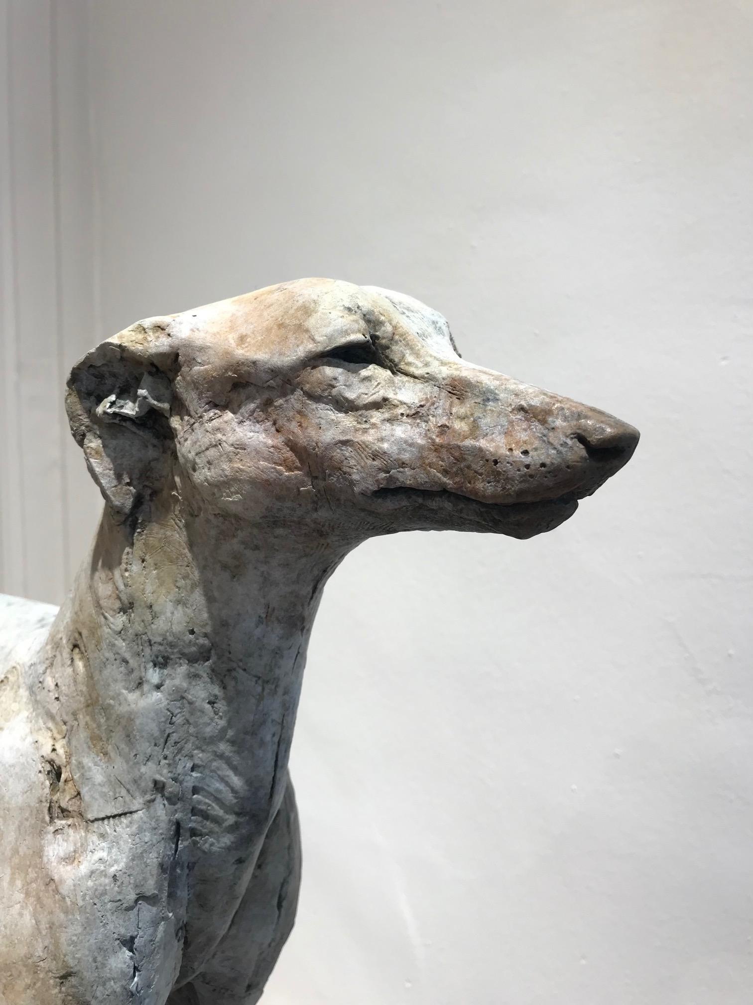 ''Sighthound'', Contemporary Bronze Sculpture Portrait of a Dog, Hound 1