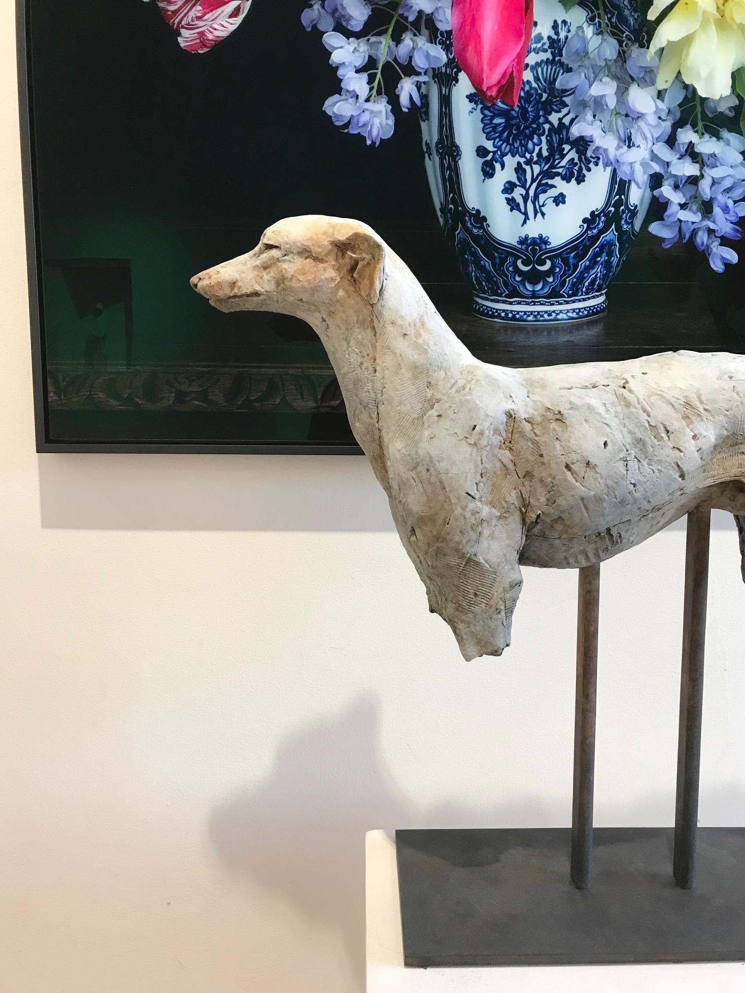 ''Sighthound'', Contemporary Bronze Sculpture Portrait of a Dog, Hound 3