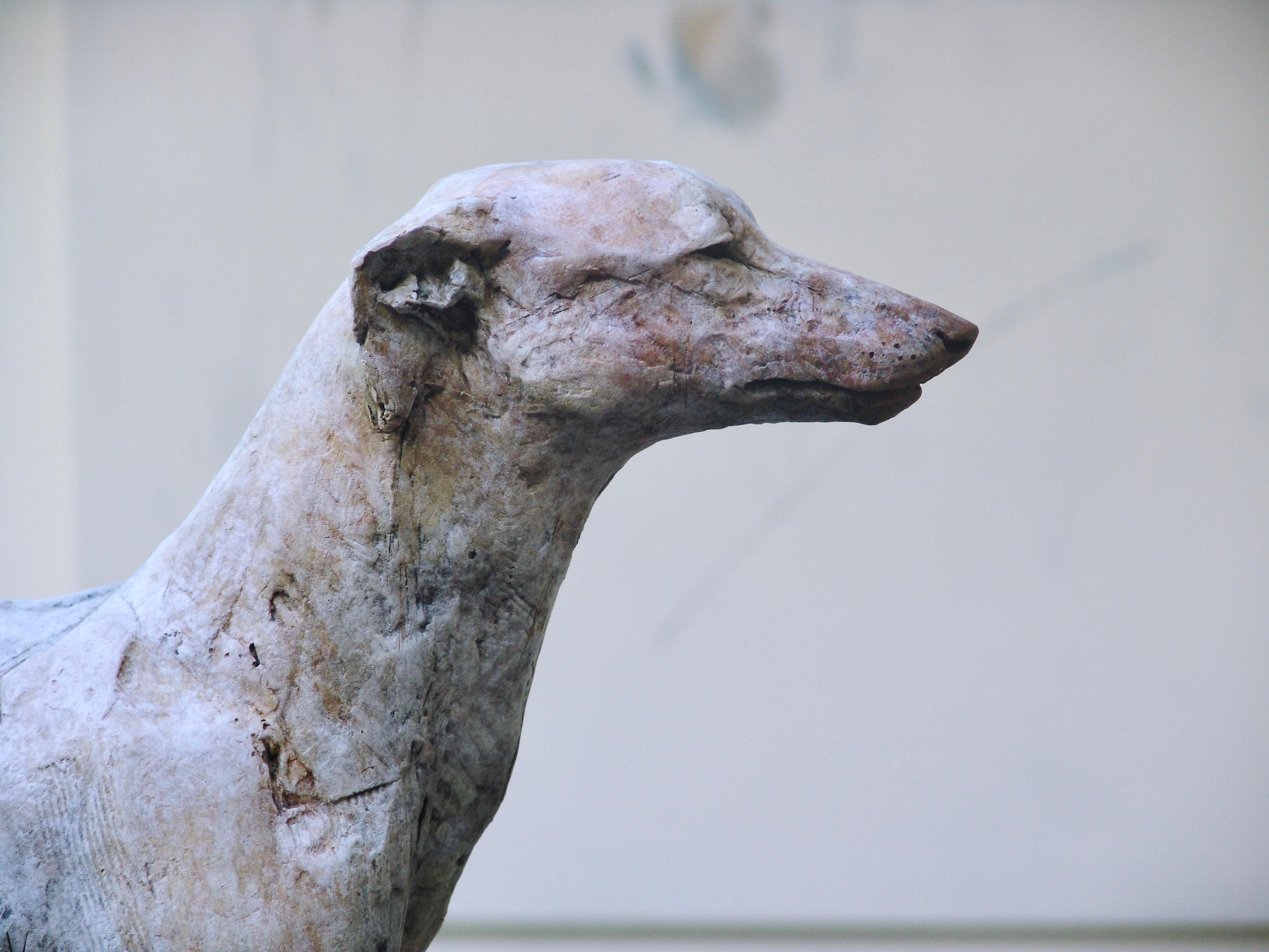 ''Sighthound'', Contemporary Bronze Sculpture Portrait of a Dog, Hound 2