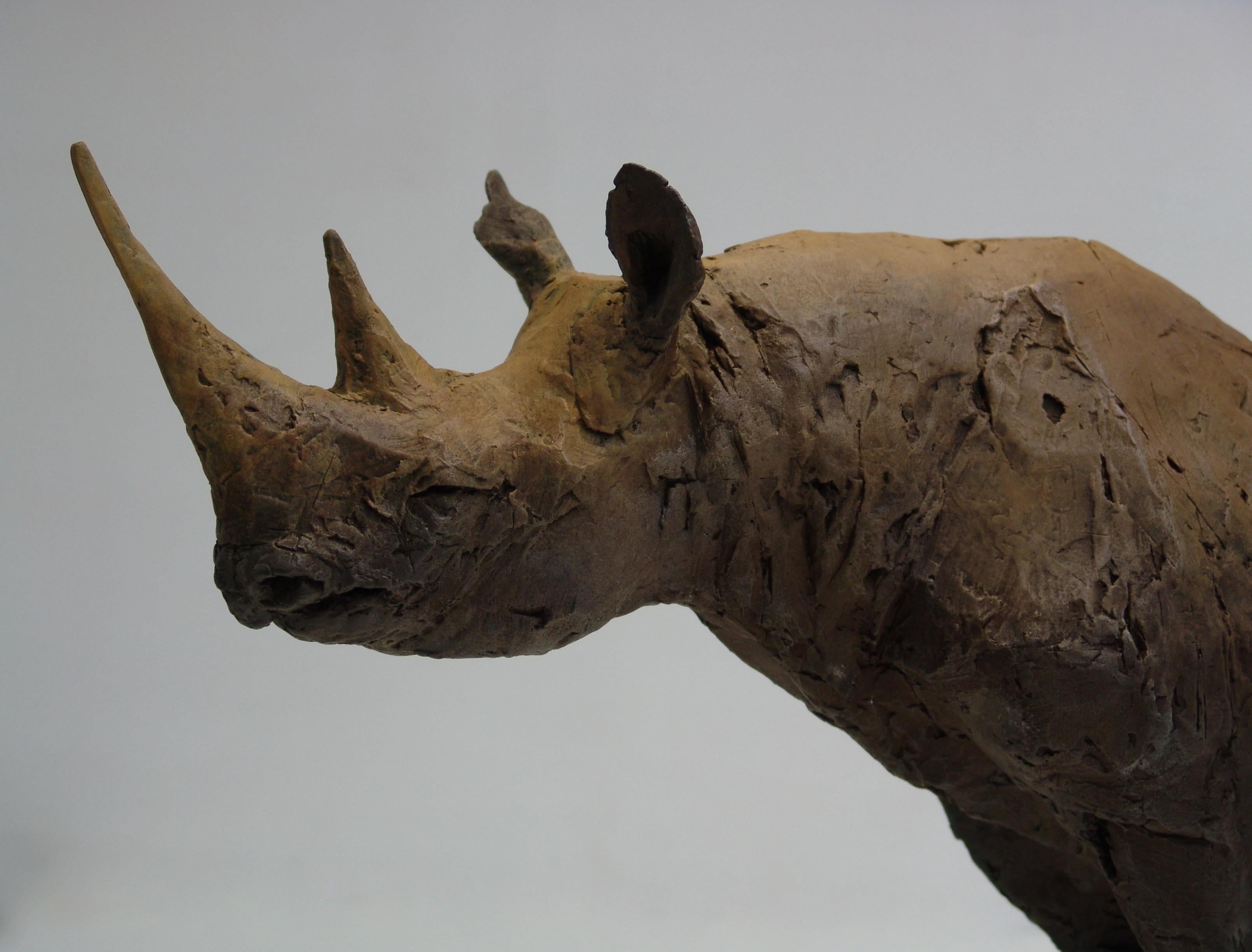''Still Rhino'', Sculpture contemporaine en bronze Portrait d'un rhinocéros en vente 2