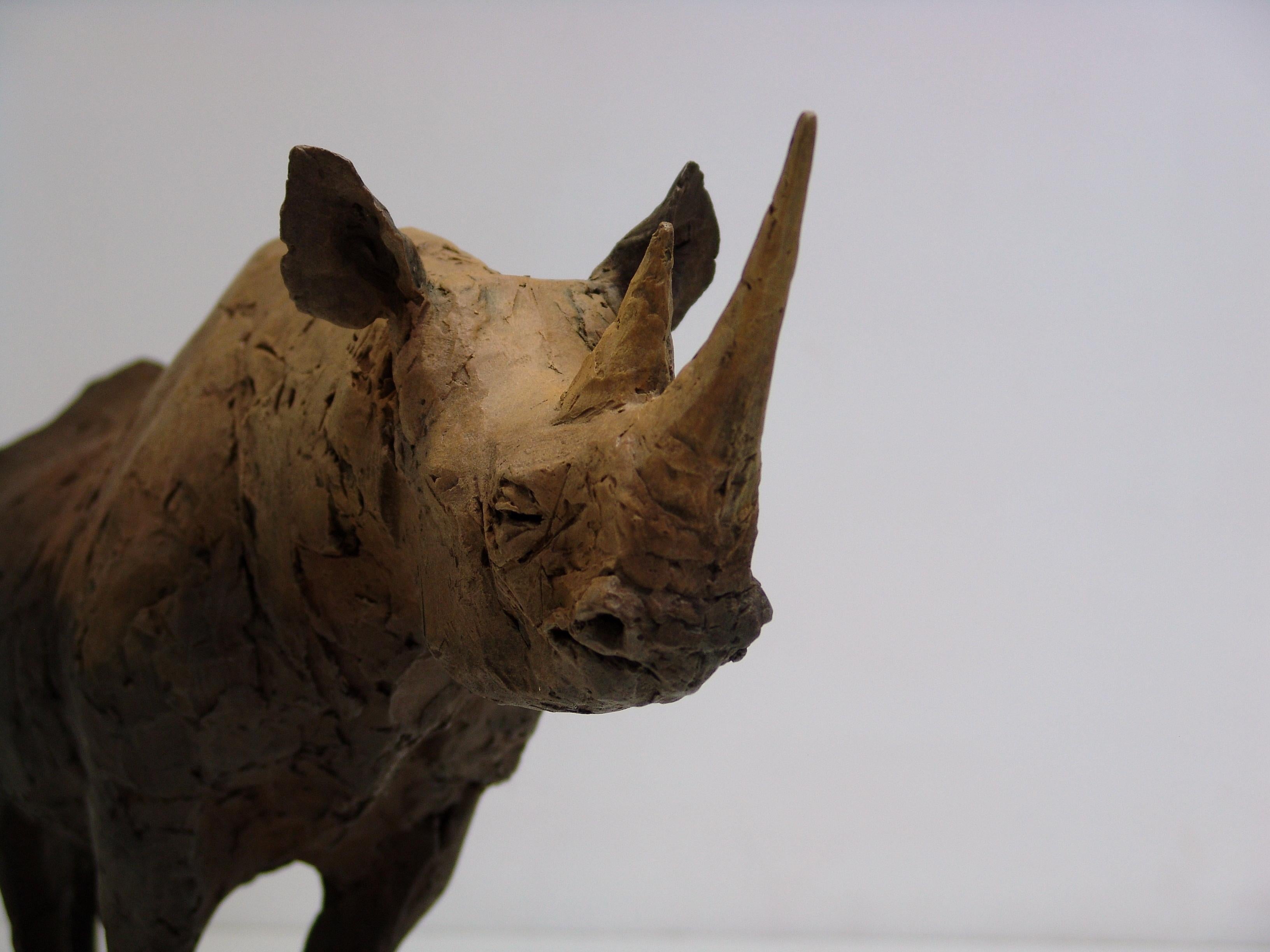 ''Still Rhino'', Sculpture contemporaine en bronze Portrait d'un rhinocéros en vente 3