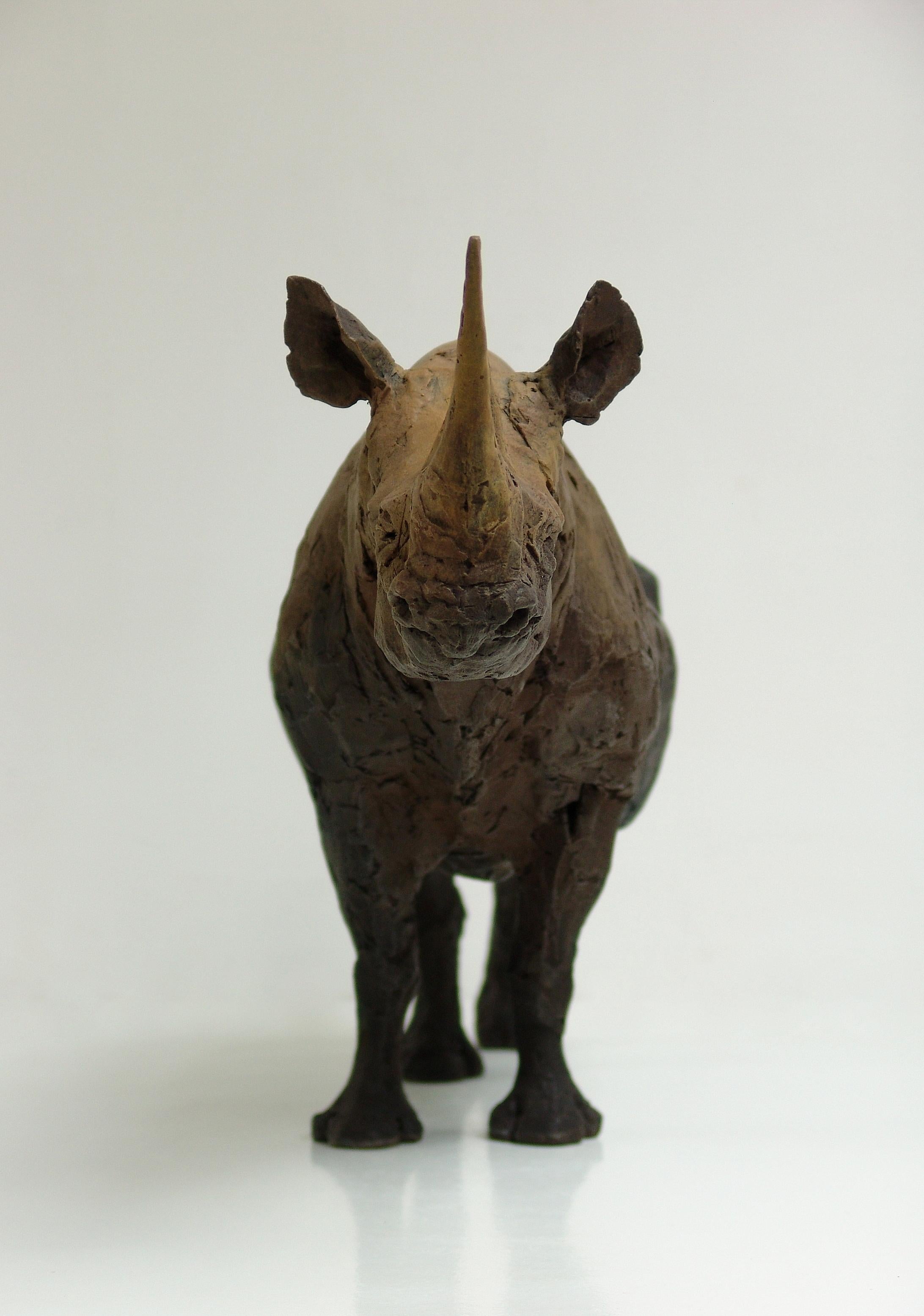 ''Still Rhino'', Contemporary Bronze Sculpture Portrait of a Rhinoceros For Sale 1