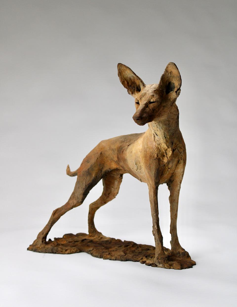 ''Tesem'', Contemporary Bronze Sculpture Portrait of a Tesem, Brown Dog 1