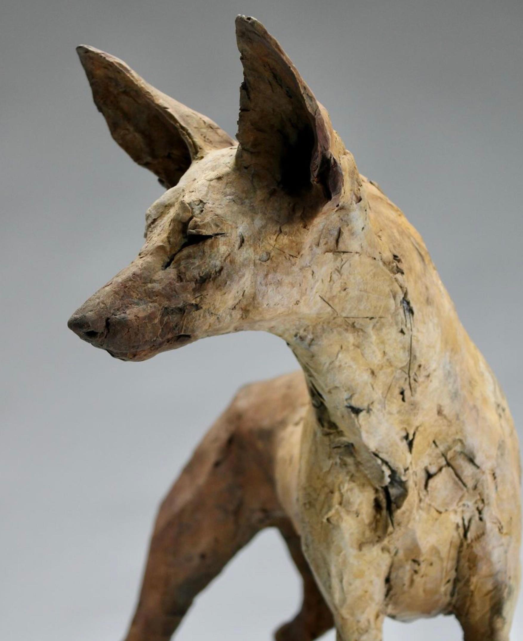 ''Tesem'', Contemporary Bronze Sculpture Portrait of a Tesem, Brown Dog 2