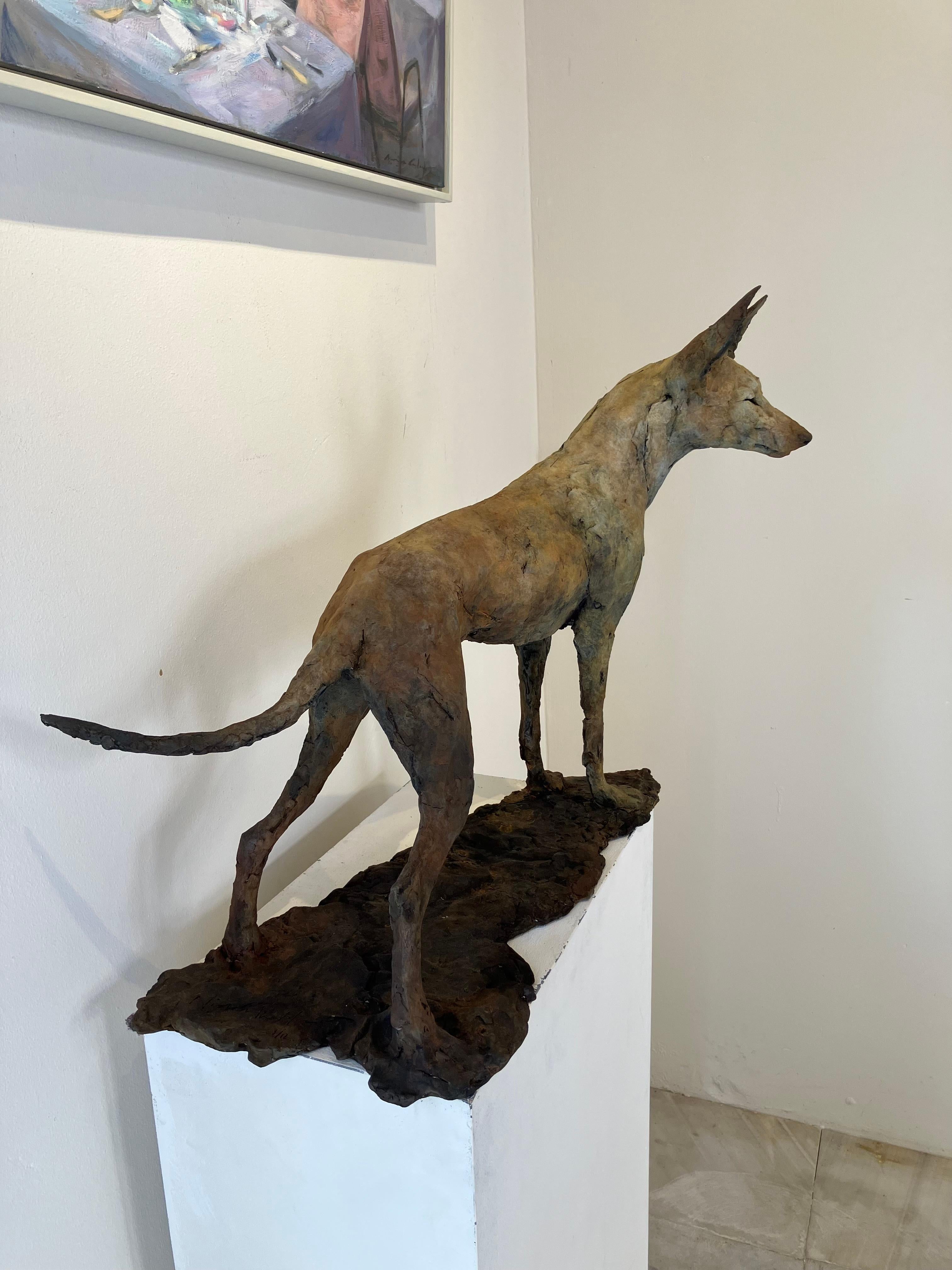Tesem'', Zeitgenössische Bronze-Skulptur Porträt eines braunen Tesem-Hundes im Angebot 1