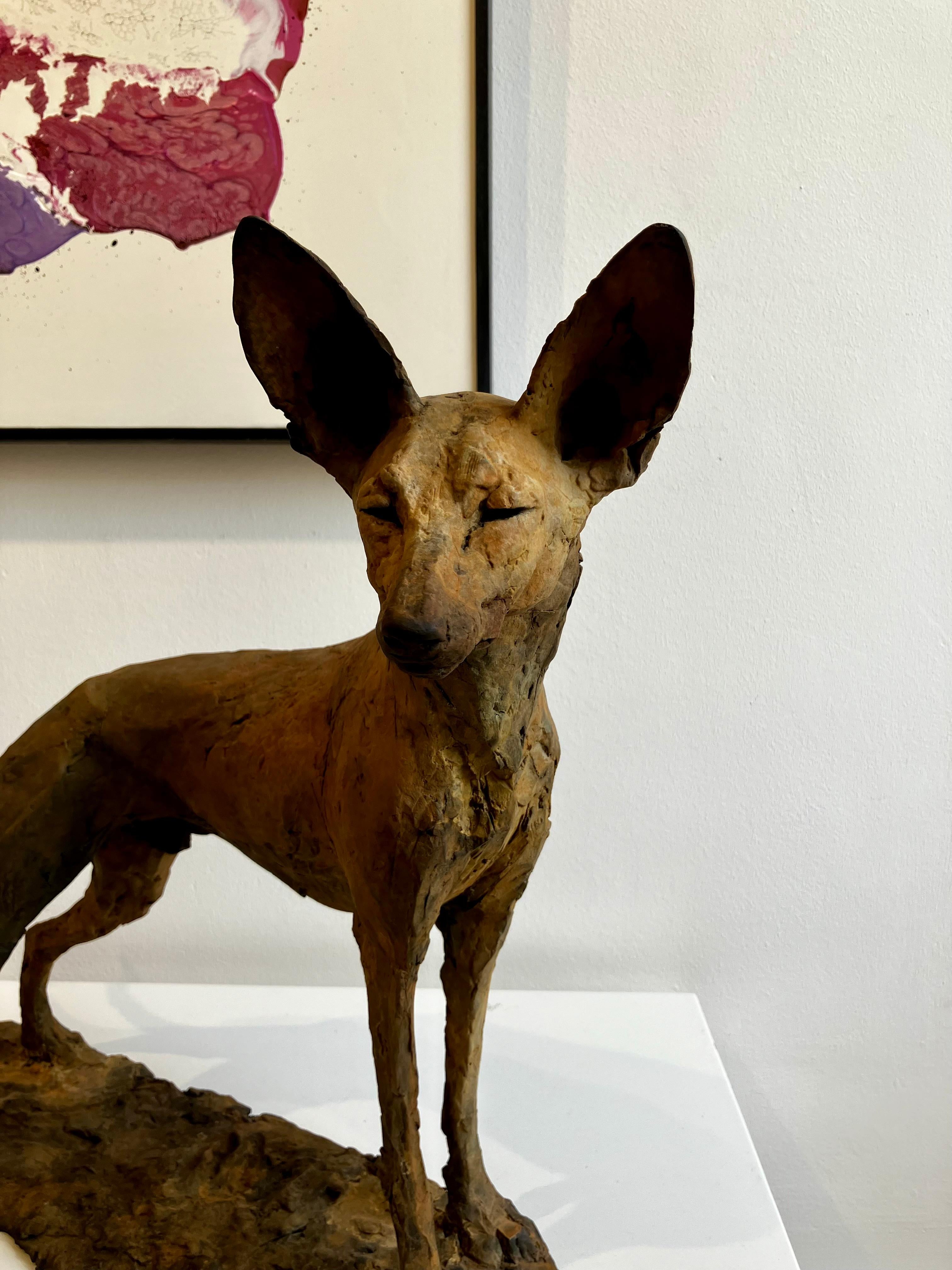 ''Tesem'', Contemporary Bronze Sculpture Portrait of a Tesem, Brown Dog 3