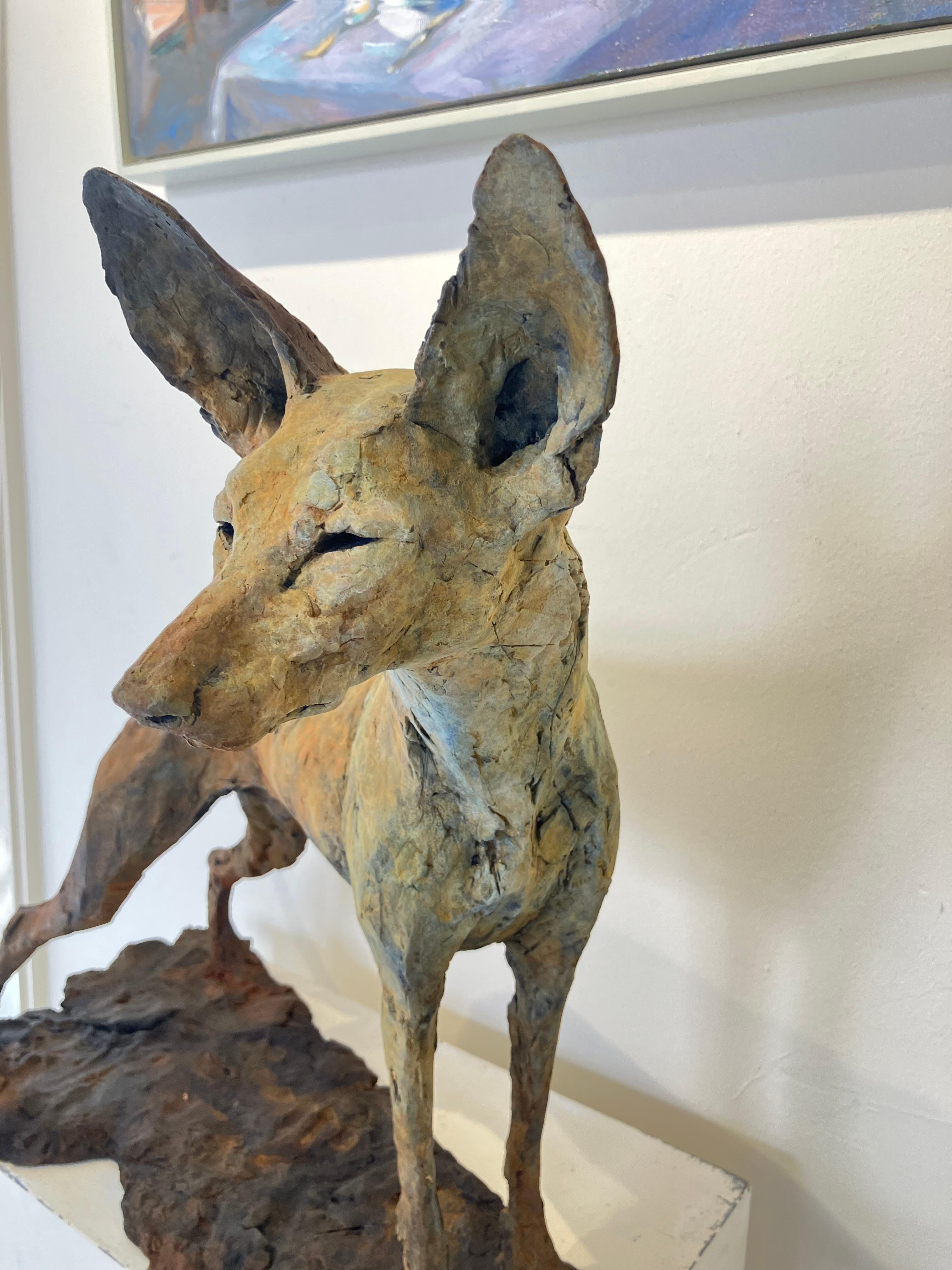 Tesem'', Zeitgenössische Bronze-Skulptur Porträt eines braunen Tesem-Hundes im Angebot 2