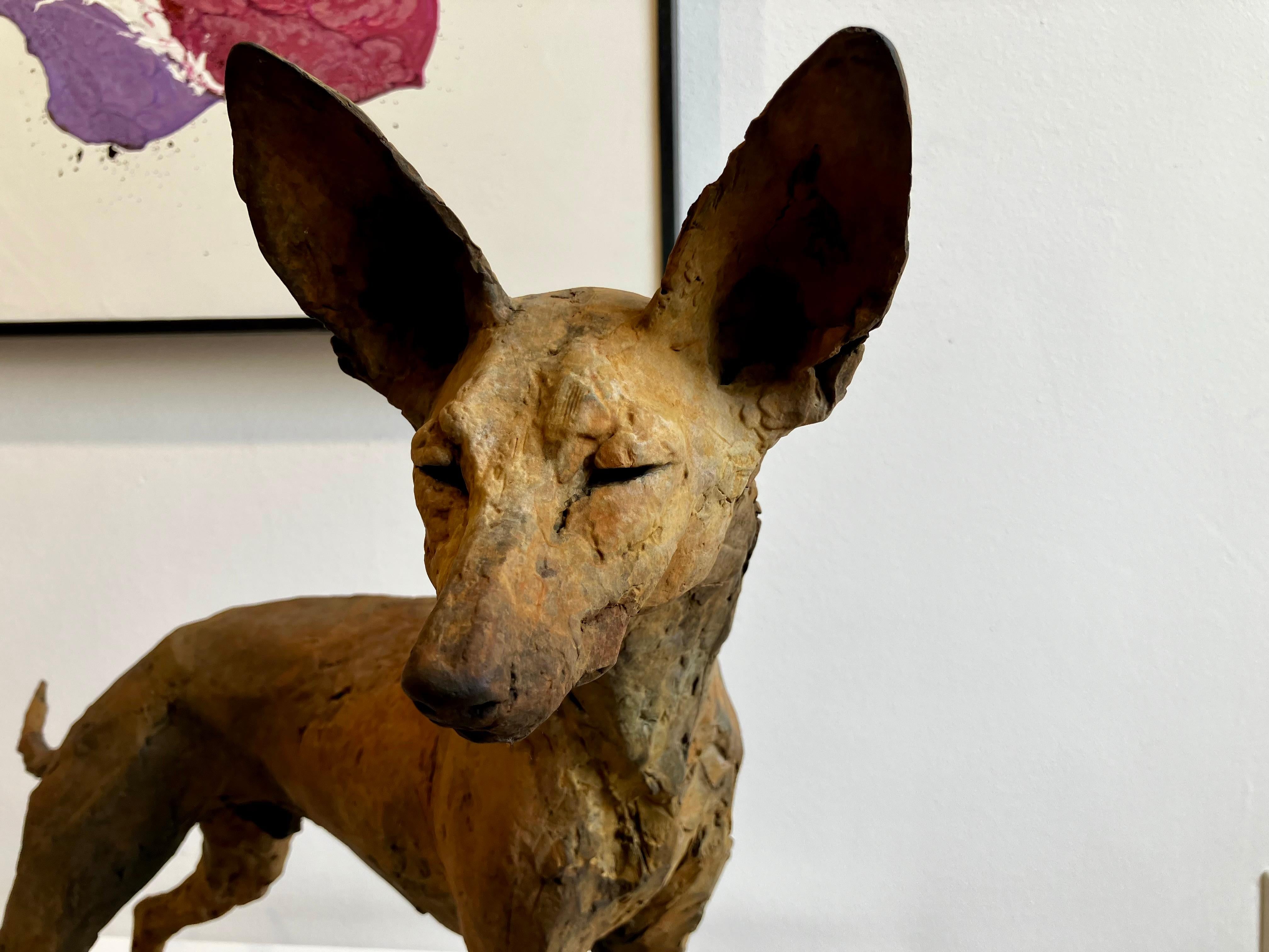 ''Tesem'', Contemporary Bronze Sculpture Portrait of a Tesem, Brown Dog 4