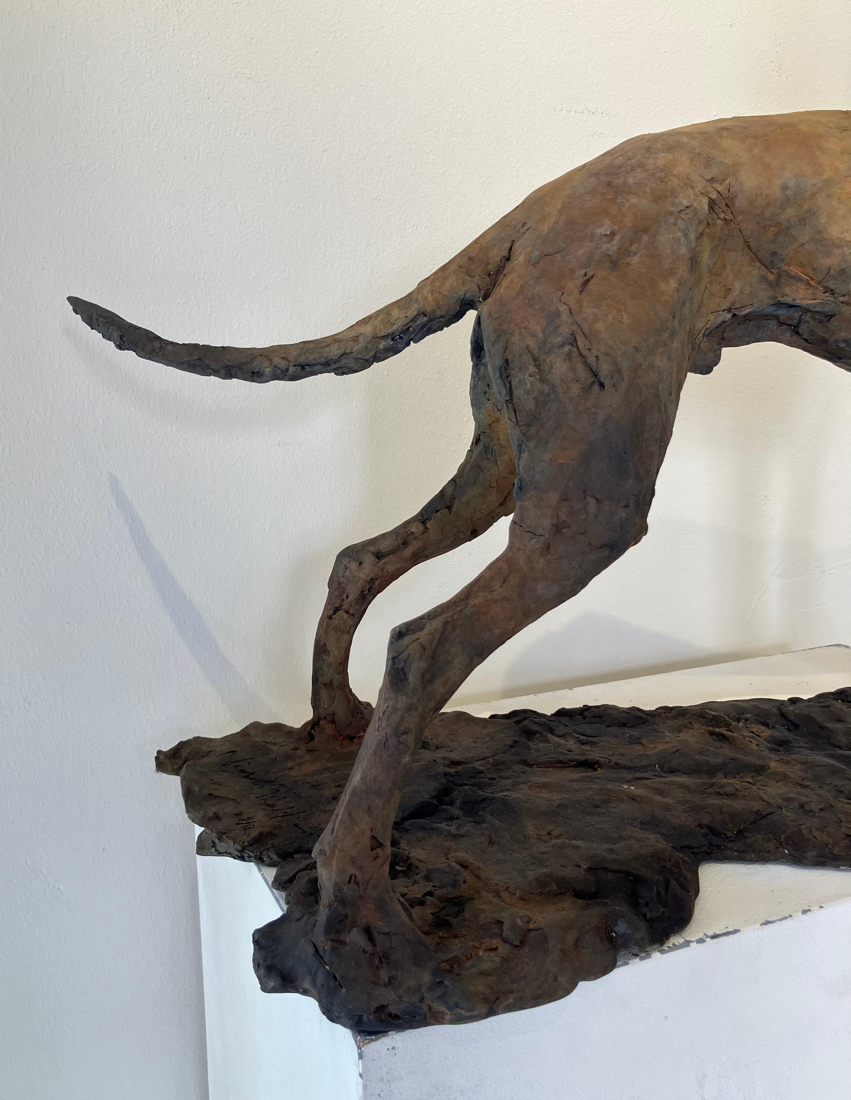 Tesem'', Zeitgenössische Bronze-Skulptur Porträt eines braunen Tesem-Hundes im Angebot 3