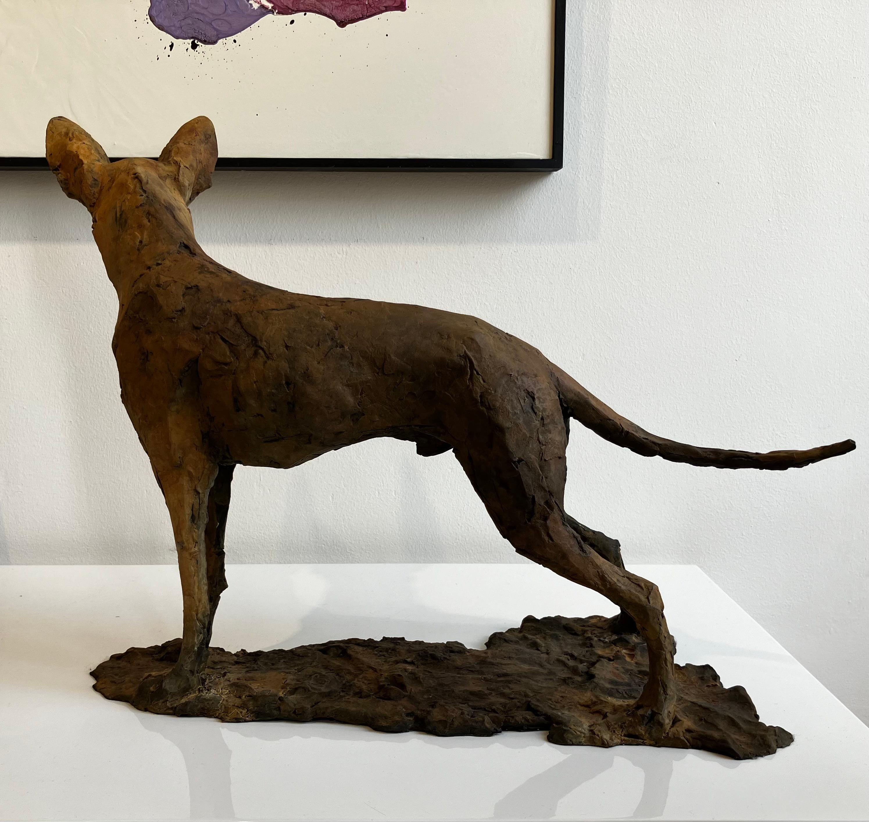 ''Tesem'', Contemporary Bronze Sculpture Portrait of a Tesem, Brown Dog 5