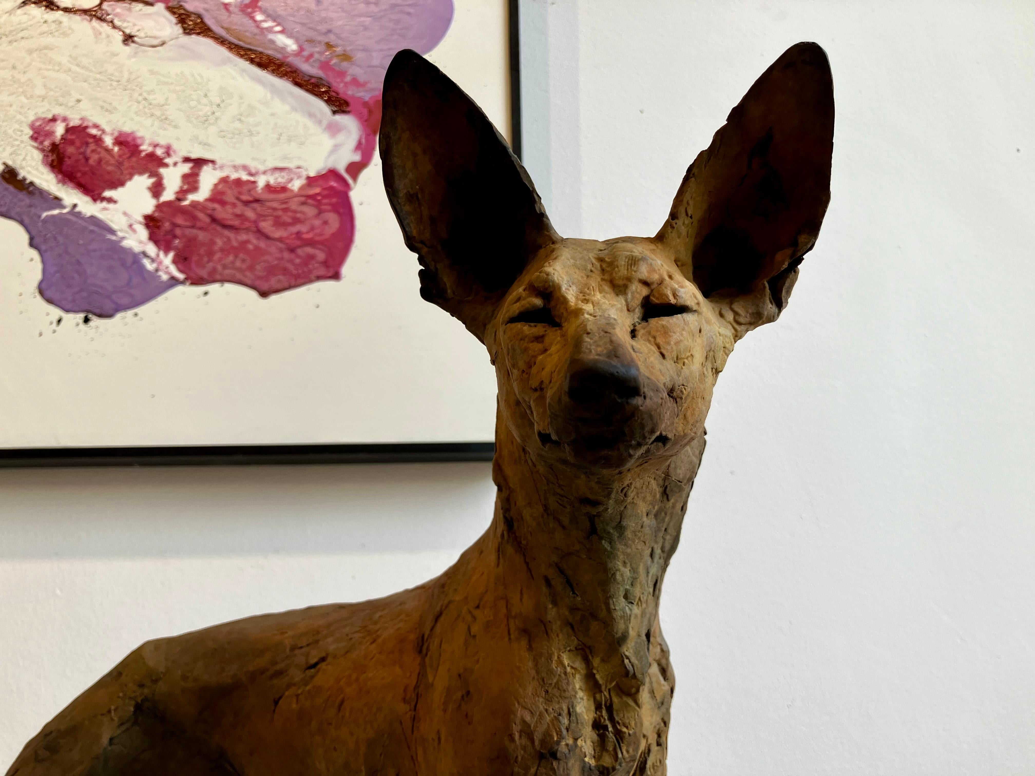 ''Tesem'', Contemporary Bronze Sculpture Portrait of a Tesem, Brown Dog 6