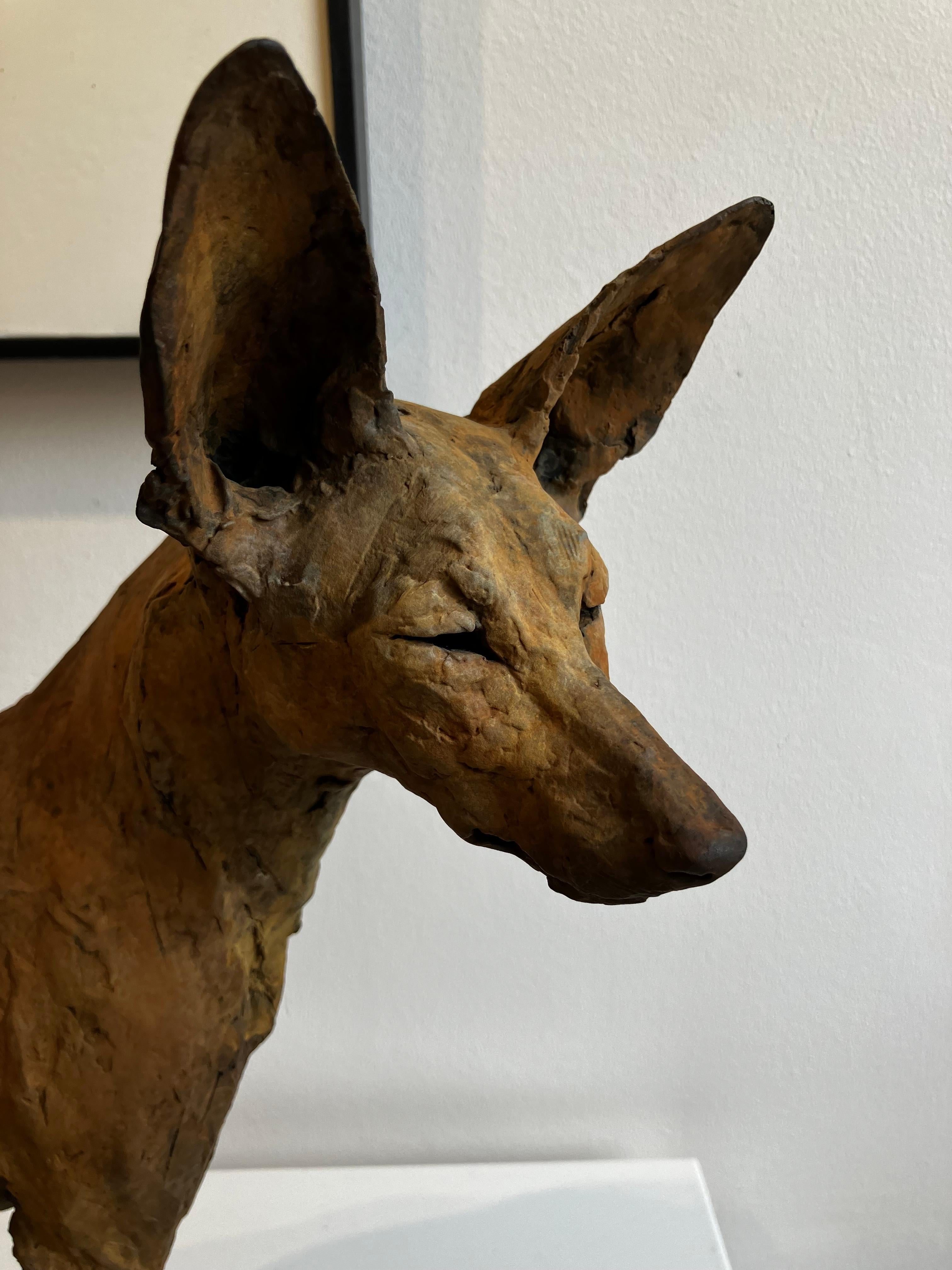 ''Tesem'', Contemporary Bronze Sculpture Portrait of a Tesem, Brown Dog 7