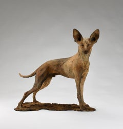 ''Tesem'', Contemporary Bronze Sculpture Portrait of a Tesem, Brown Dog