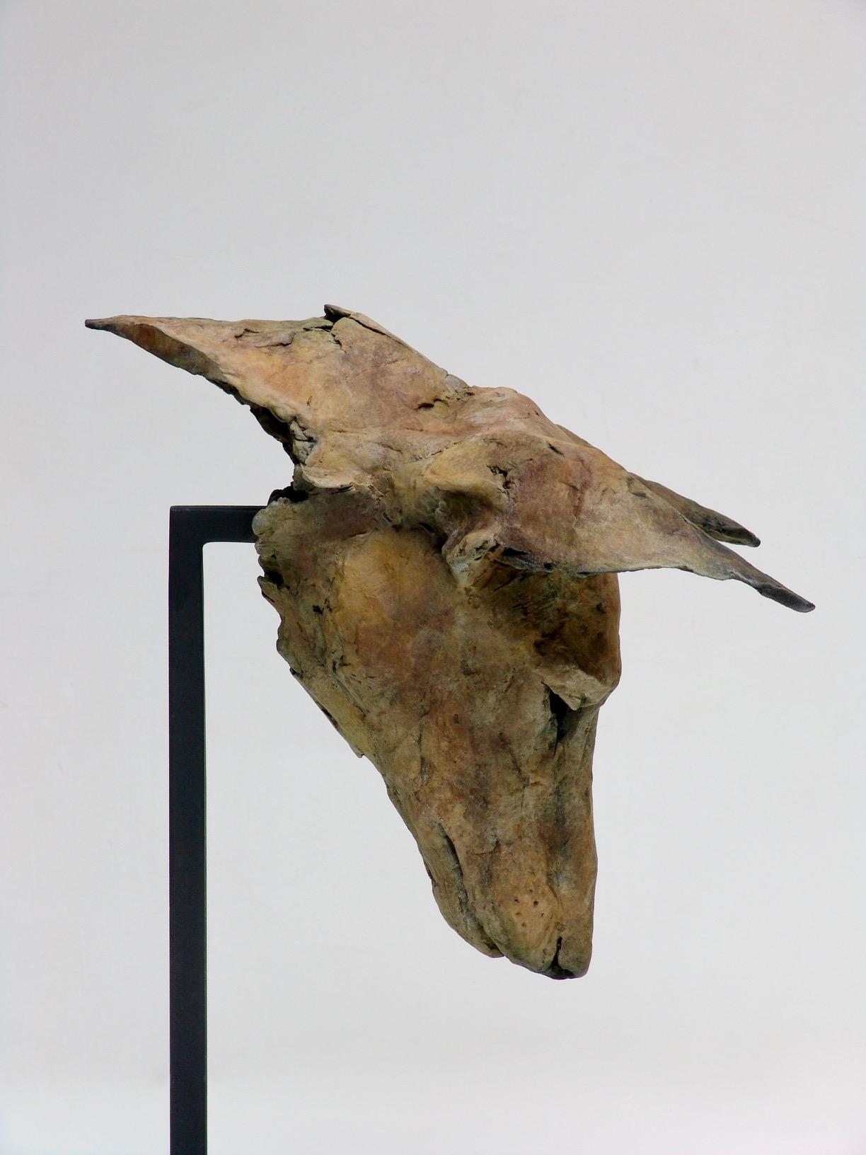 ''Tesem Study'', Contemporary Bronze Sculpture Portrait of a Dog, Tesem, Podenco For Sale 2