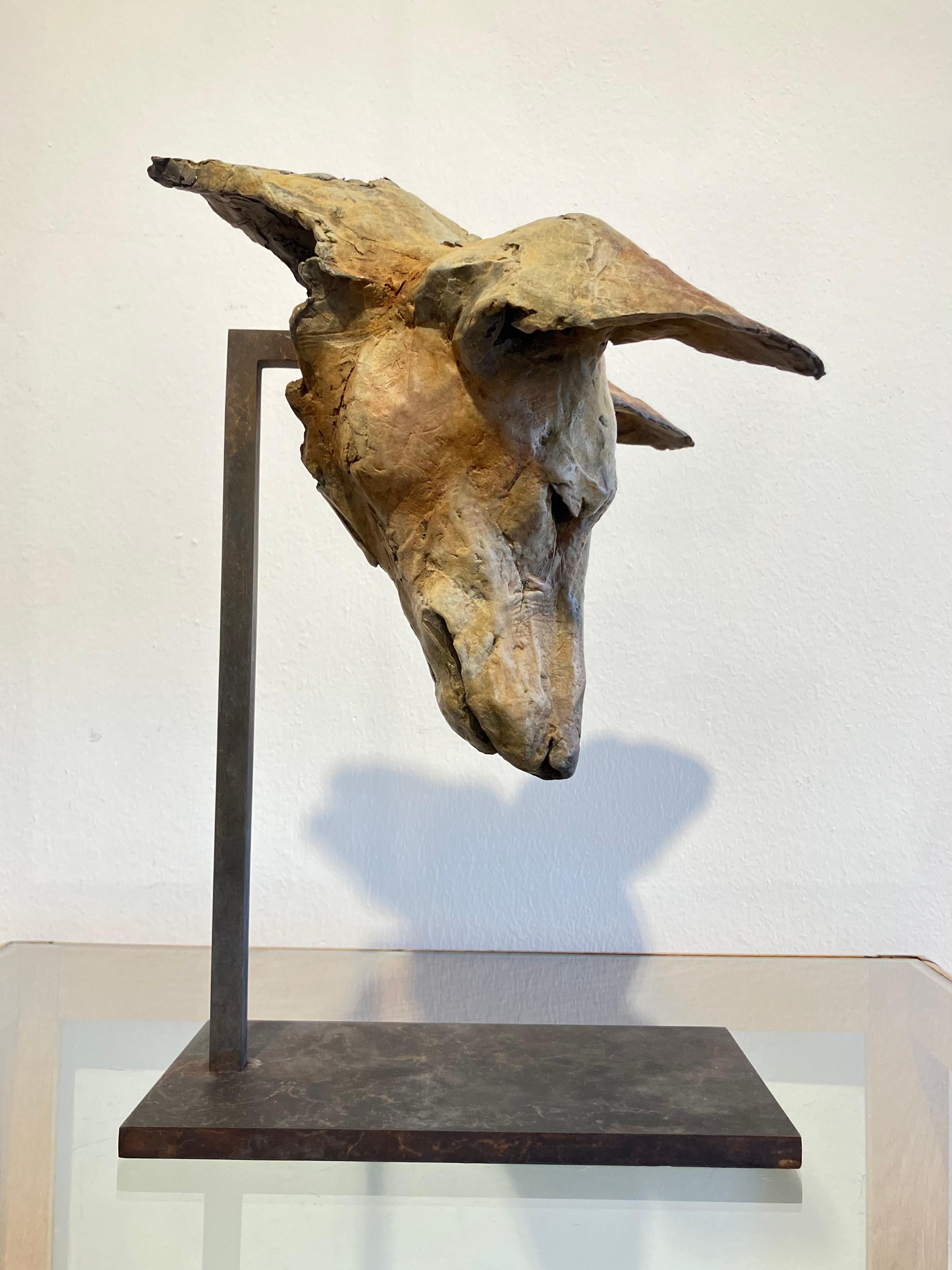 ''Tesem Study'', Contemporary Bronze Sculpture Portrait of a Dog, Tesem, Podenco For Sale 3