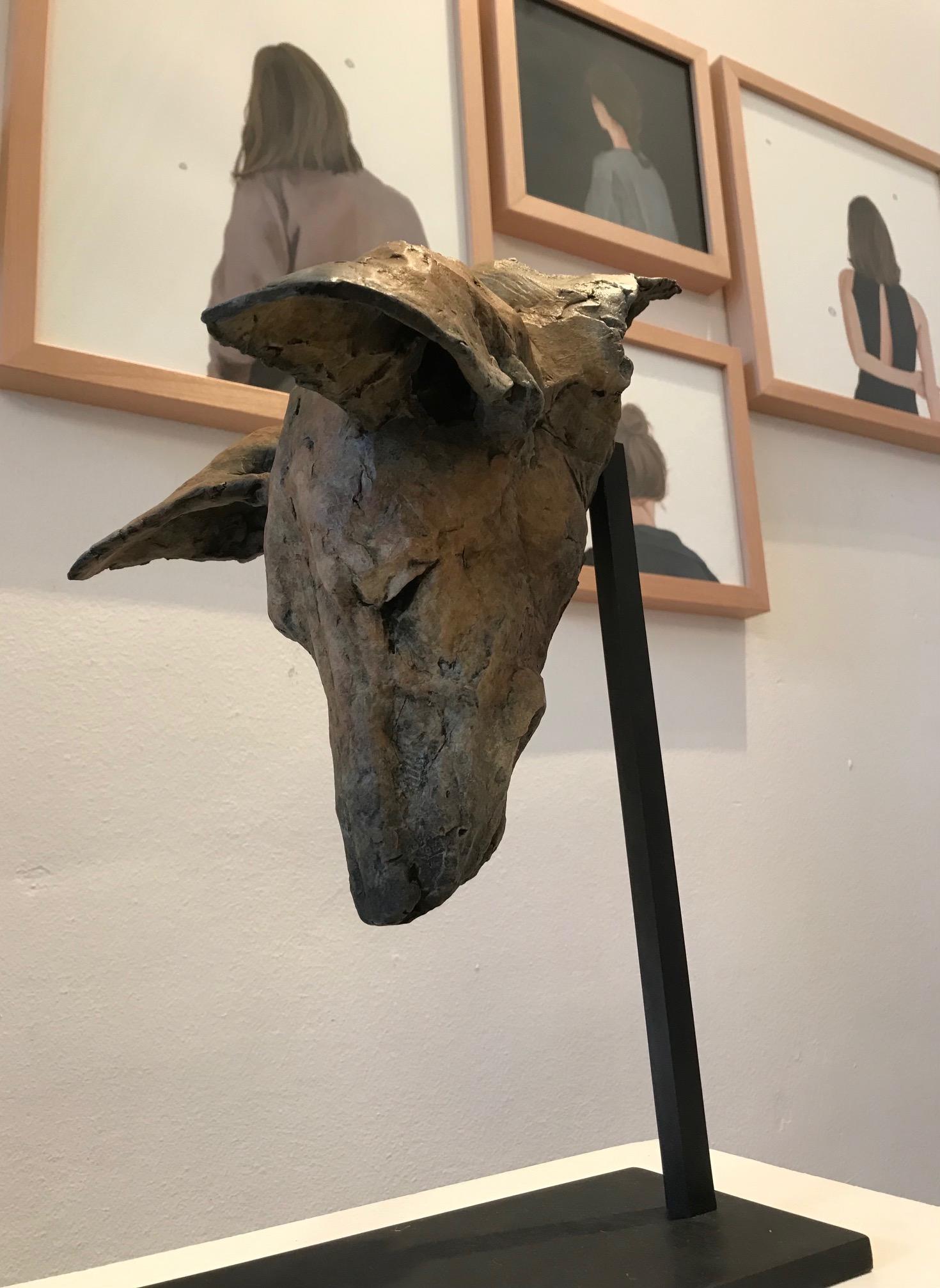 Nichola Theakston (1967) has established herself as one of the UK’s foremost contemporary sculptors working within the animal genre. 

With the ''Tesem Study'' Nichola shows how exquisite she can capture the feelings and expressions in an animal.