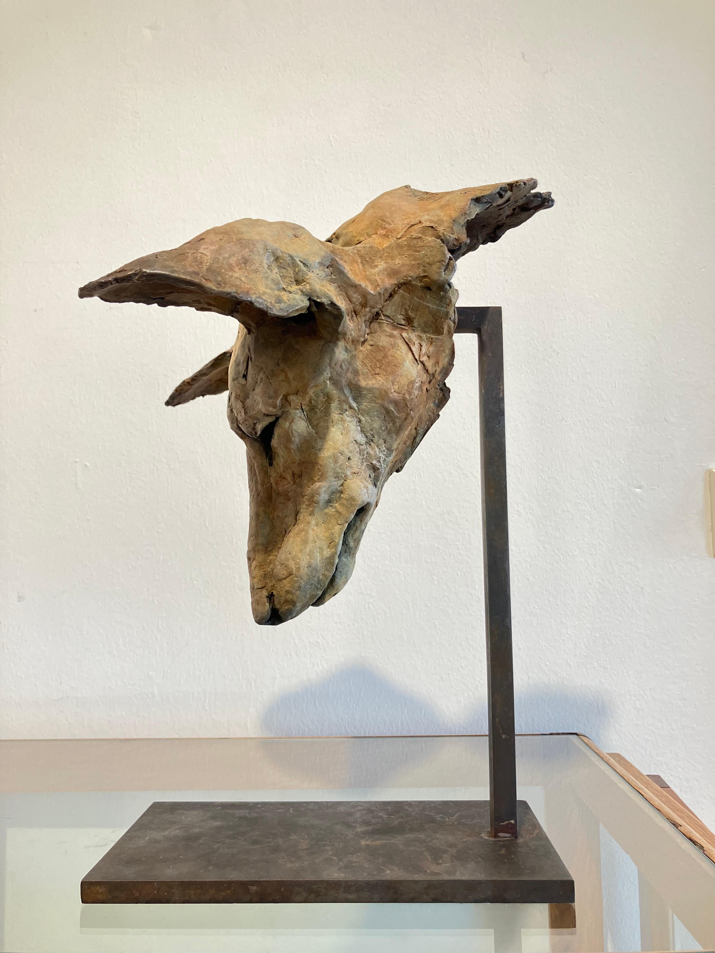 ''Tesem Study'', Contemporary Bronze Sculpture Portrait of a Dog, Tesem, Podenco For Sale 5