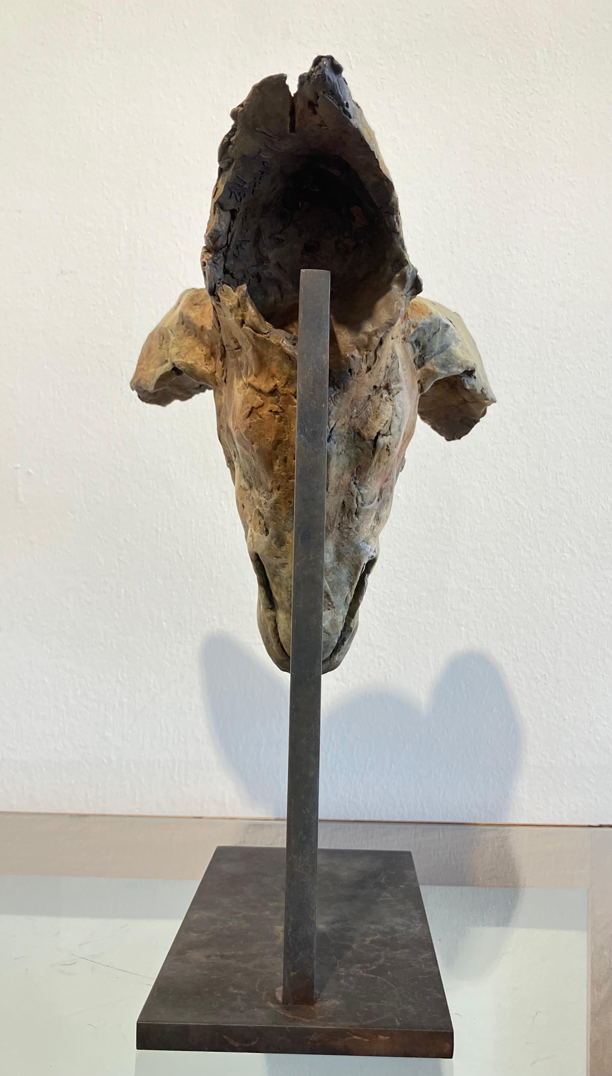 ''Tesem Study'', Contemporary Bronze Sculpture Portrait of a Dog, Tesem, Podenco For Sale 6