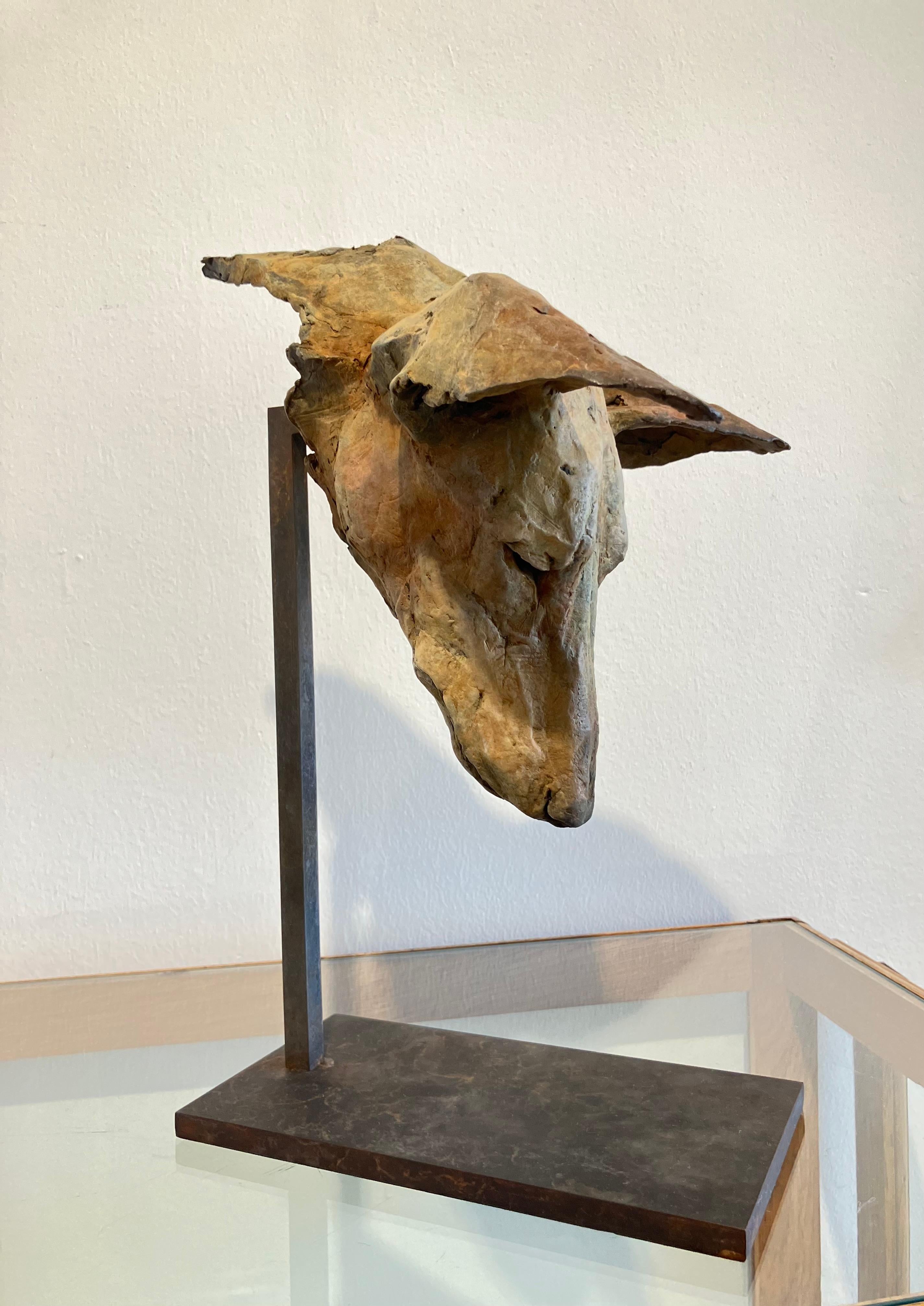 ''Tesem Study'', Contemporary Bronze Sculpture Portrait of a Dog, Tesem, Podenco For Sale 7