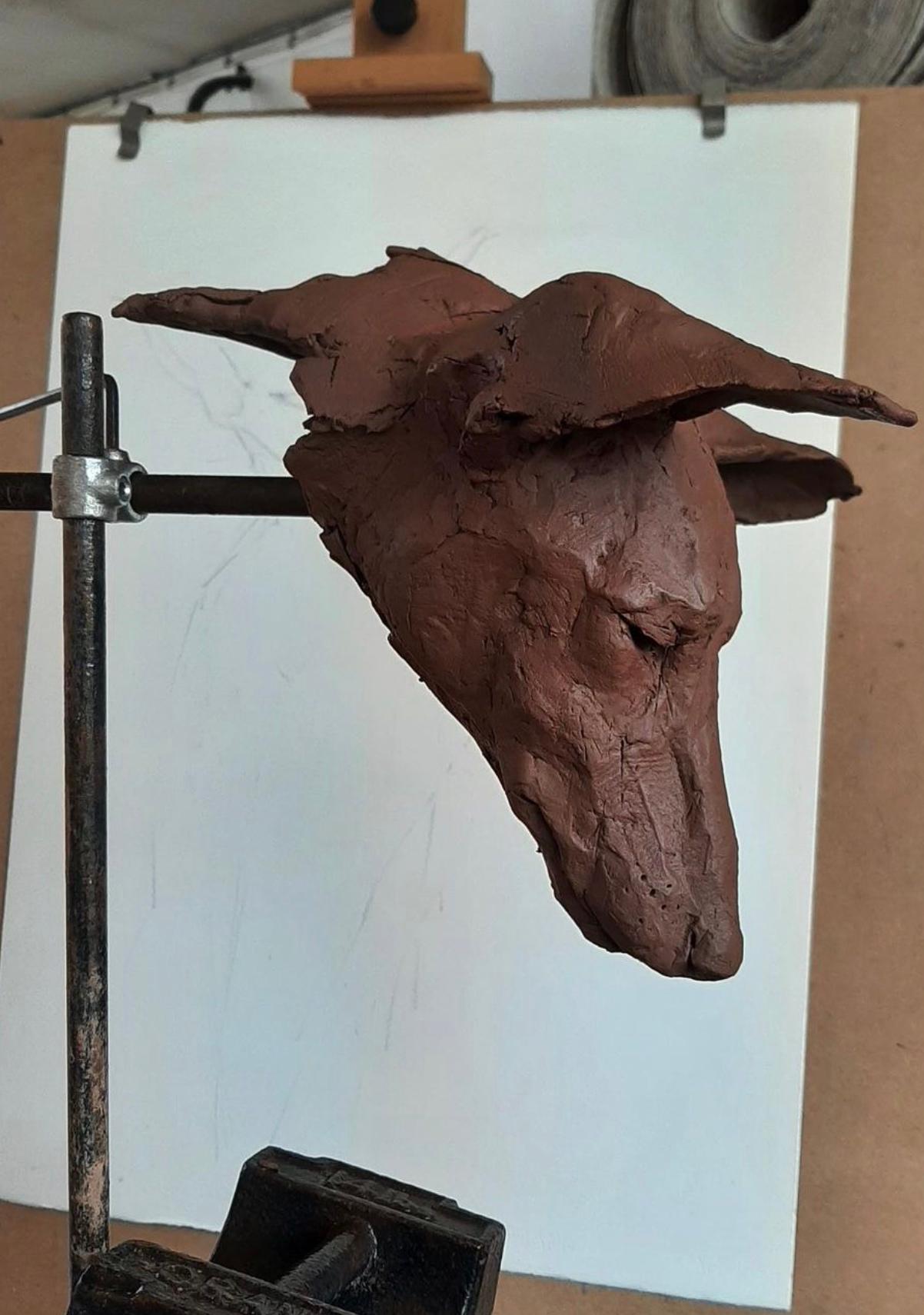 ''Tesem Study'', Contemporary Bronze Sculpture Portrait of a Dog, Tesem, Podenco 4