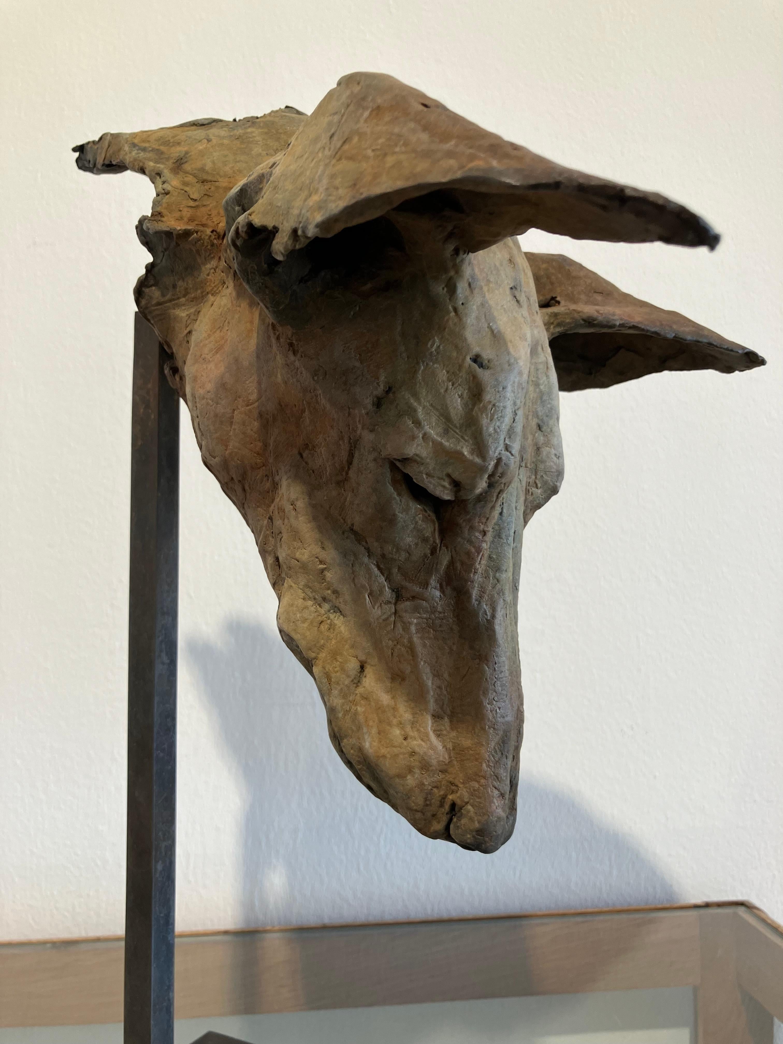 ''Tesem Study'', Contemporary Bronze Sculpture Portrait of a Dog, Tesem, Podenco For Sale 8