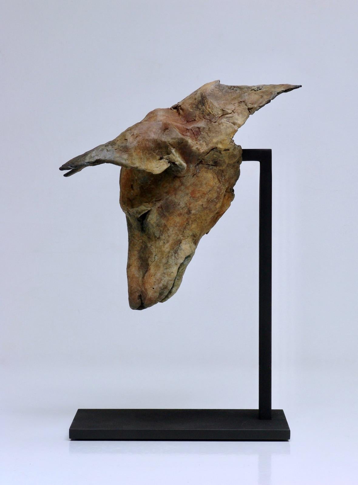Zeitgenössische Bronzeskulptur-Porträt eines Hundes, Tesem, Podenco, „Tesem Study“