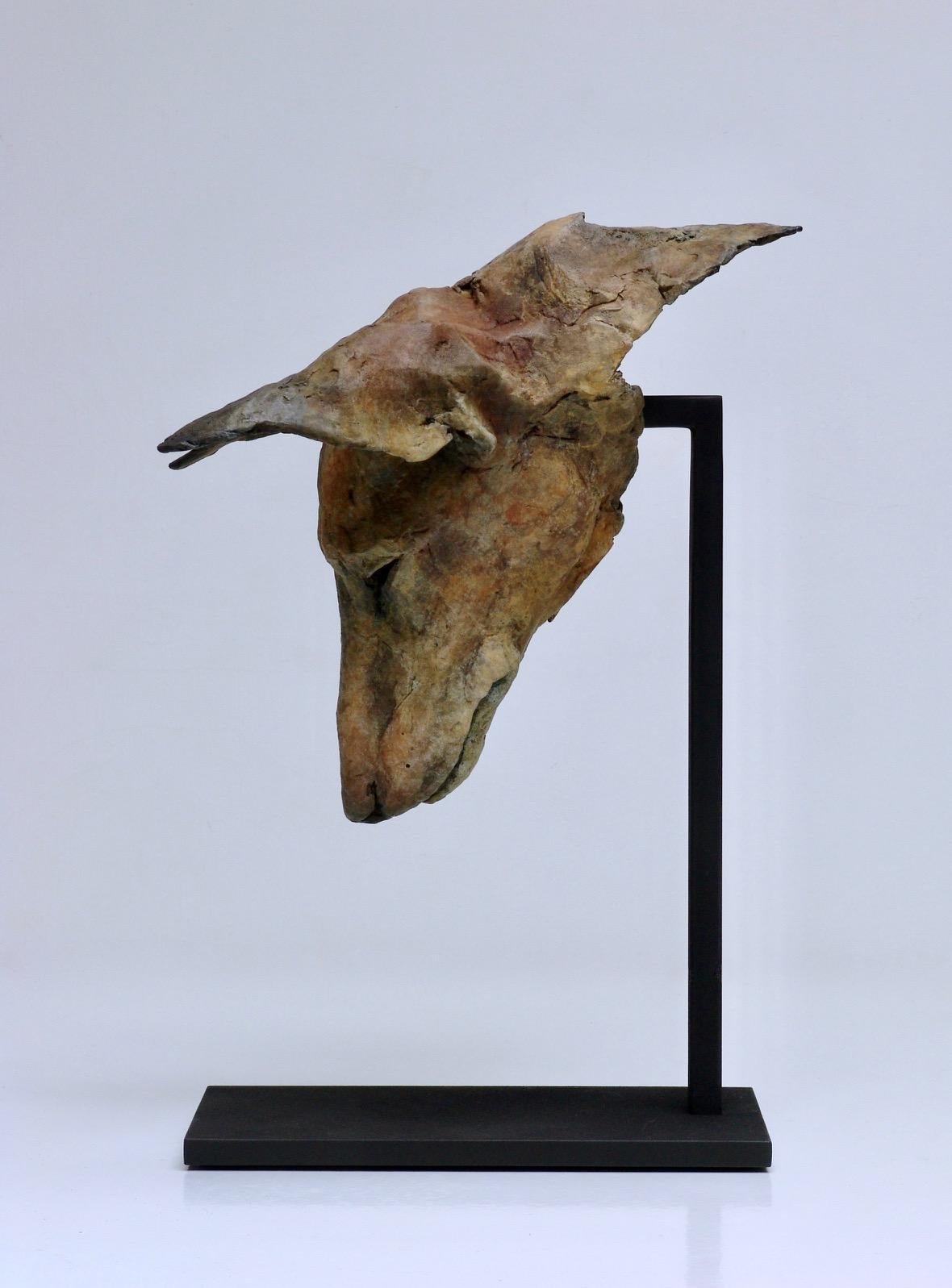 ''Studio di Tesem'', Scultura contemporanea in bronzo Ritratto di cane, Tesem, Podenco