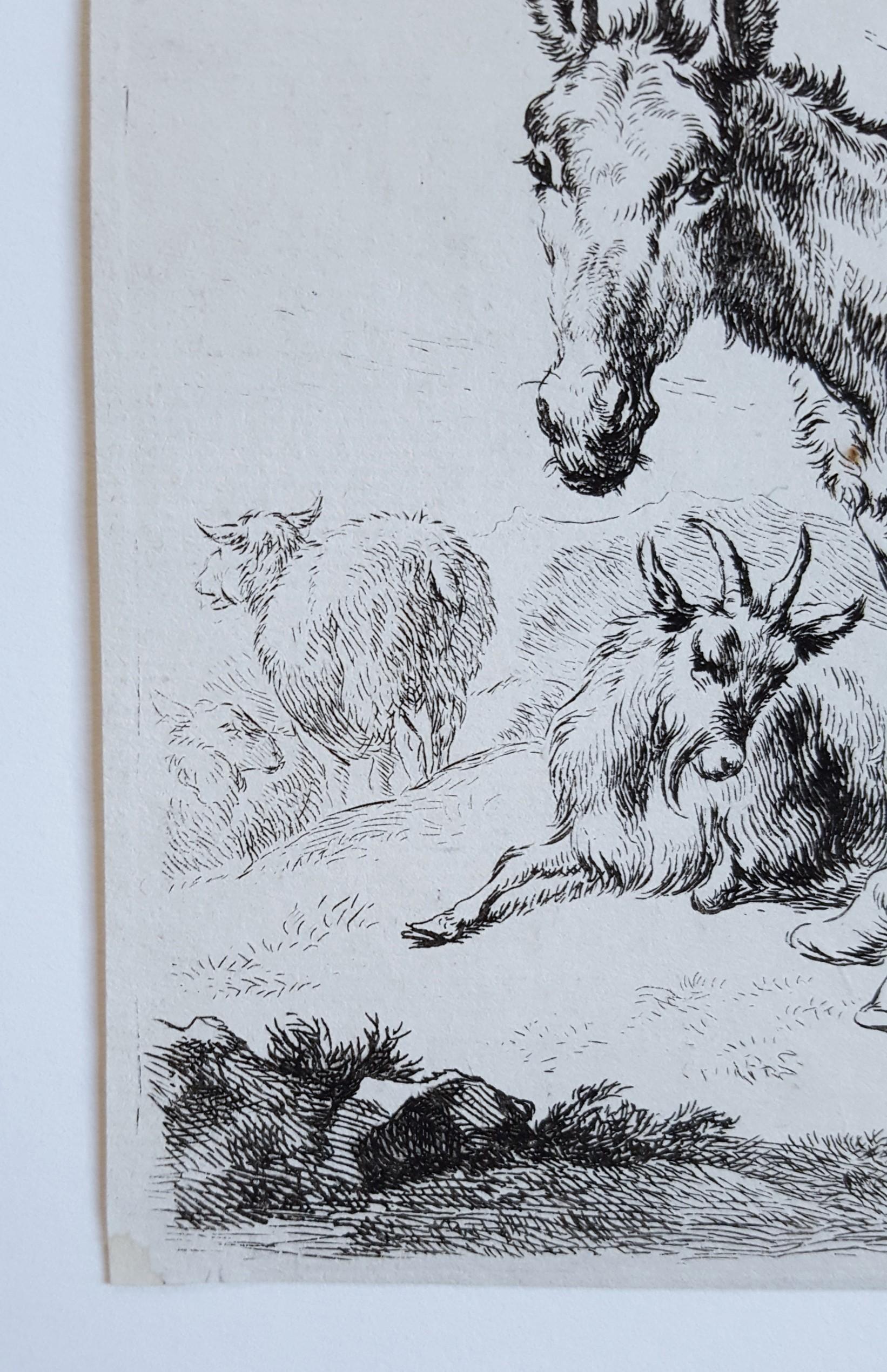 Donkey, Sheep, and Goats - Print by Nicolaes Berchem