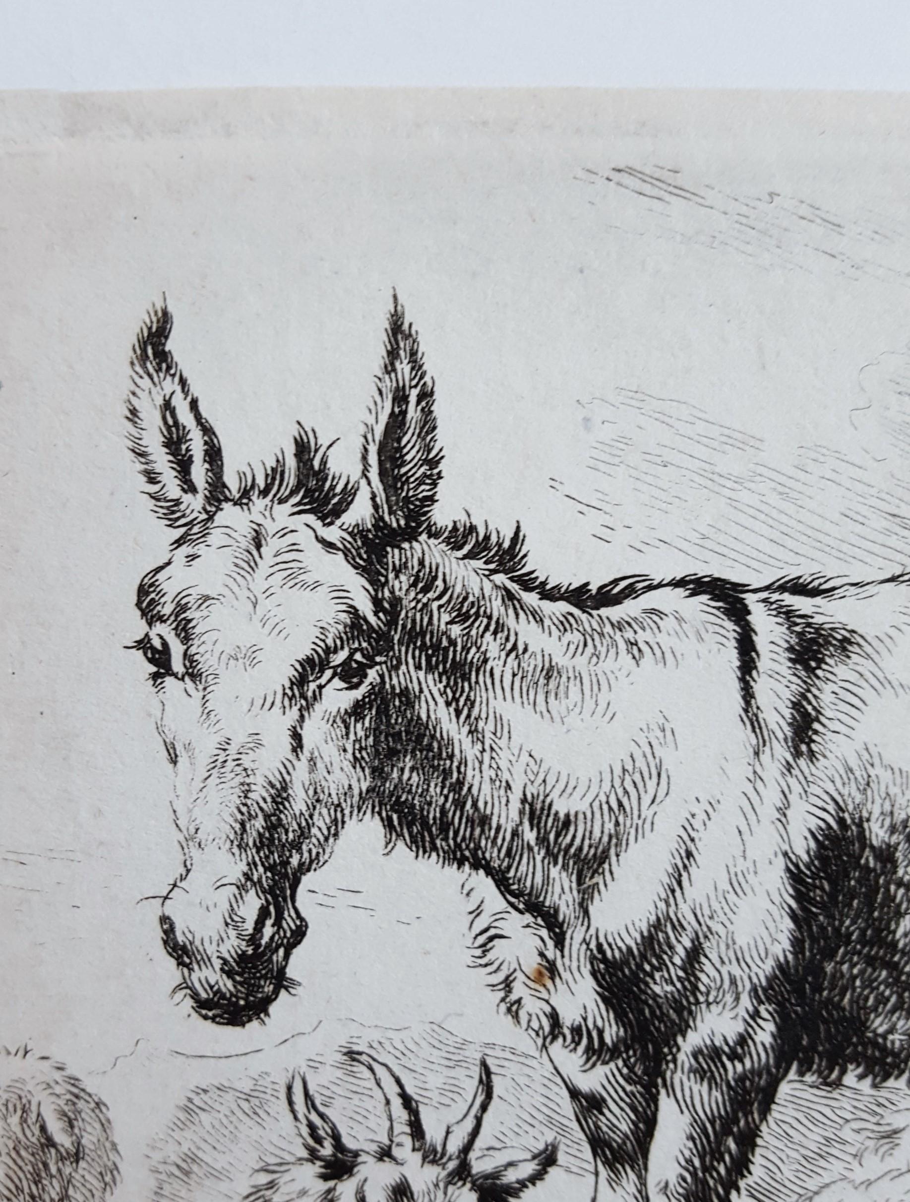 Donkey, Sheep, and Goats - Gray Animal Print by Nicolaes Berchem
