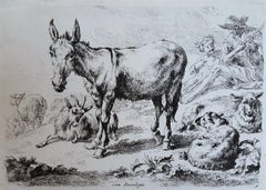 Antique Donkey, Sheep, and Goats