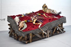 Used Chariot Burial