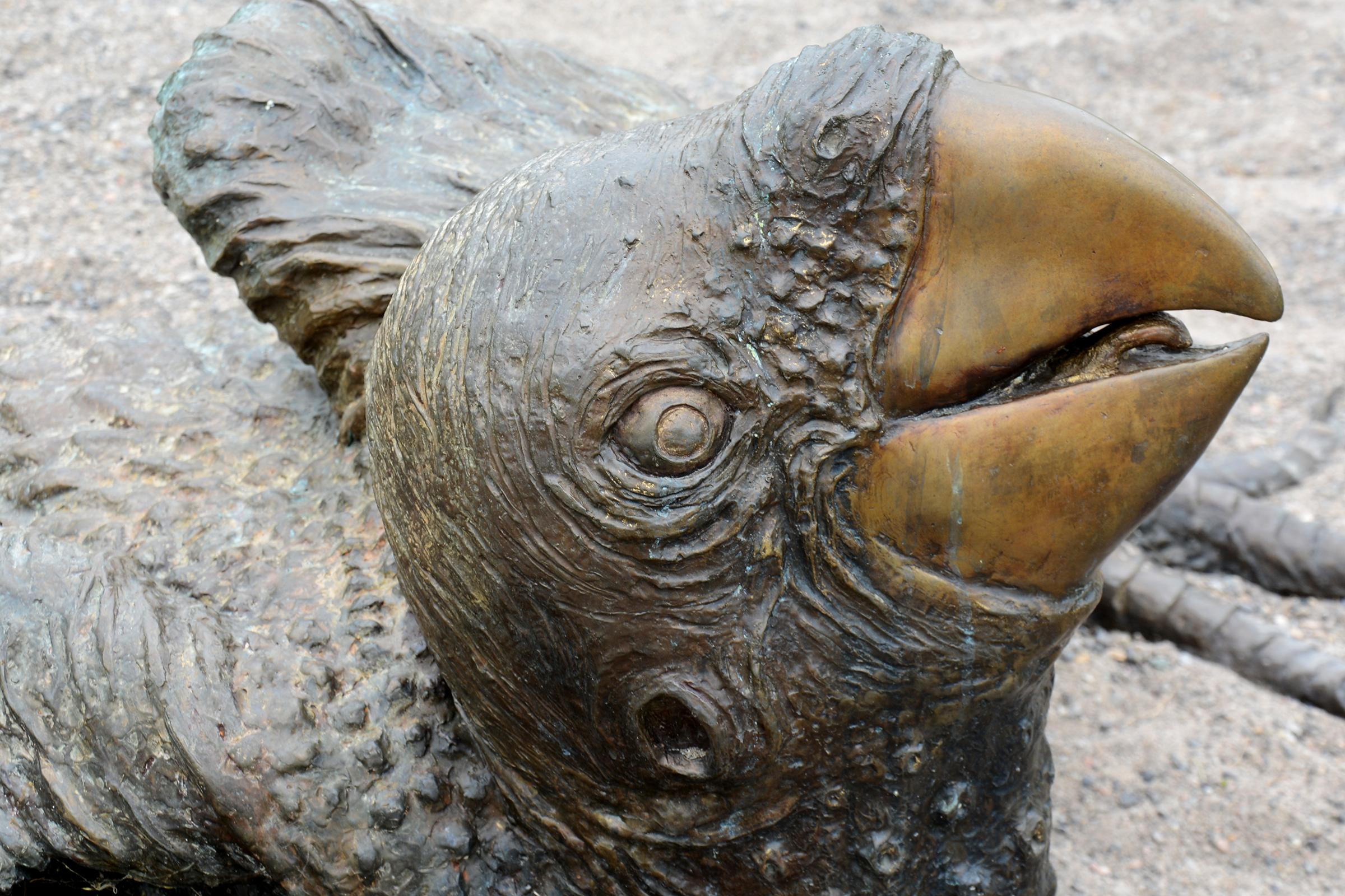 Guacamayo - escultura grande, rústica, figurativa, animal, pájaro, bronce, exterior en venta 2
