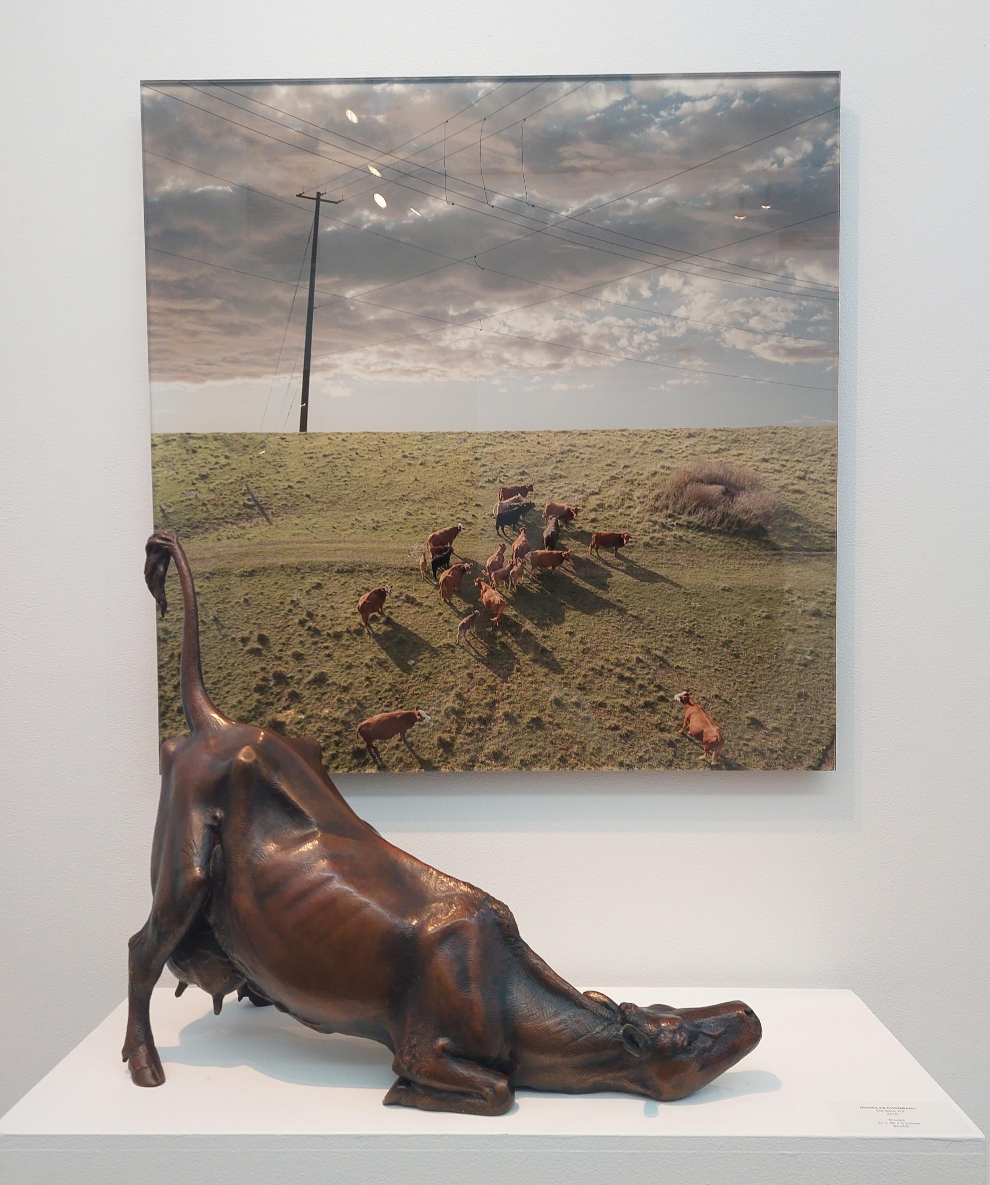 Vieja Perra 2/8 - escultura figurativa, realista, vaca hembra, bronce, interior - Sculpture Contemporáneo de Nicholas Crombach