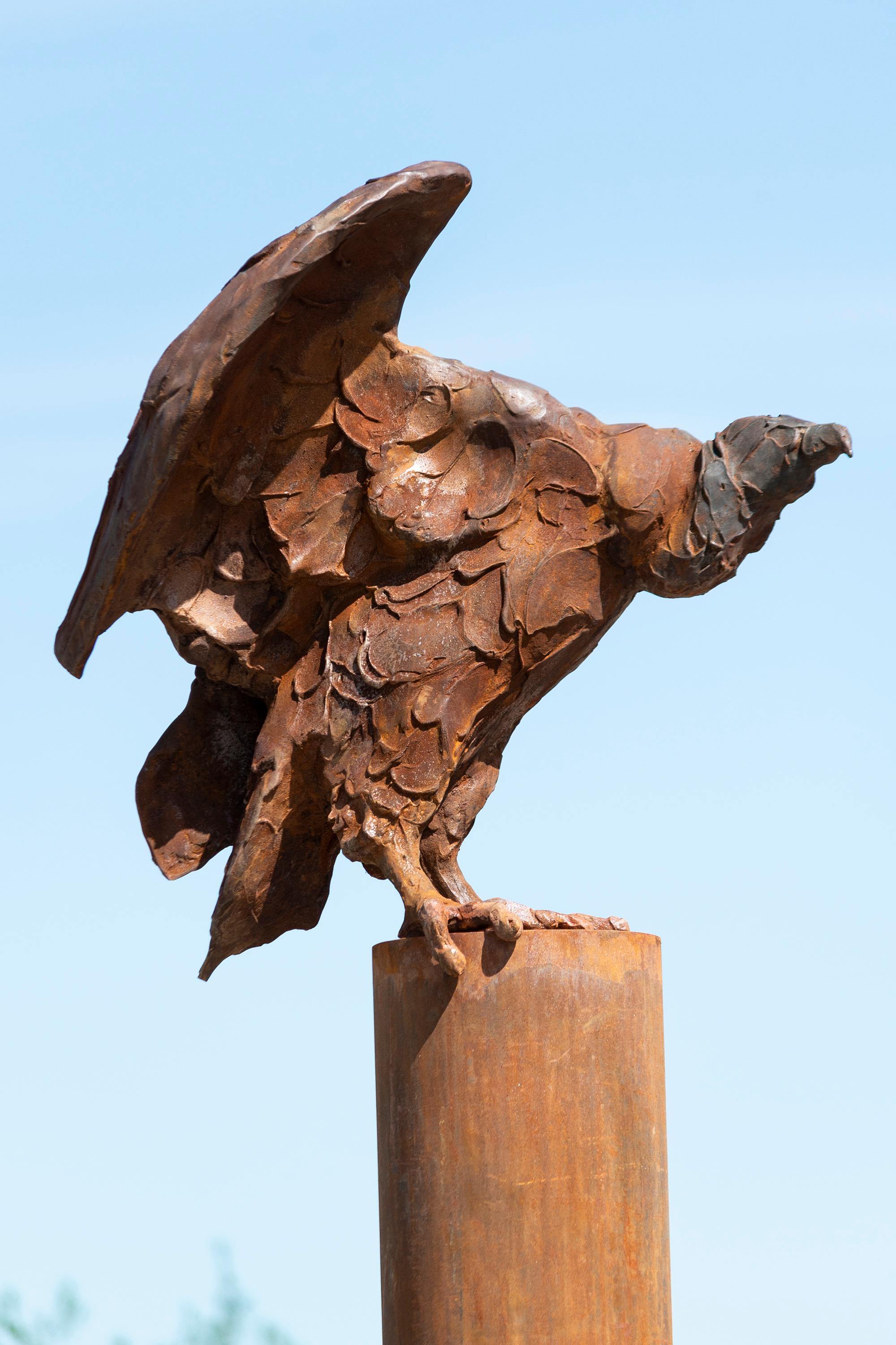 Buitre I - escultura rústica, figurativa, animal, ave, hierro fundido, exterior 3