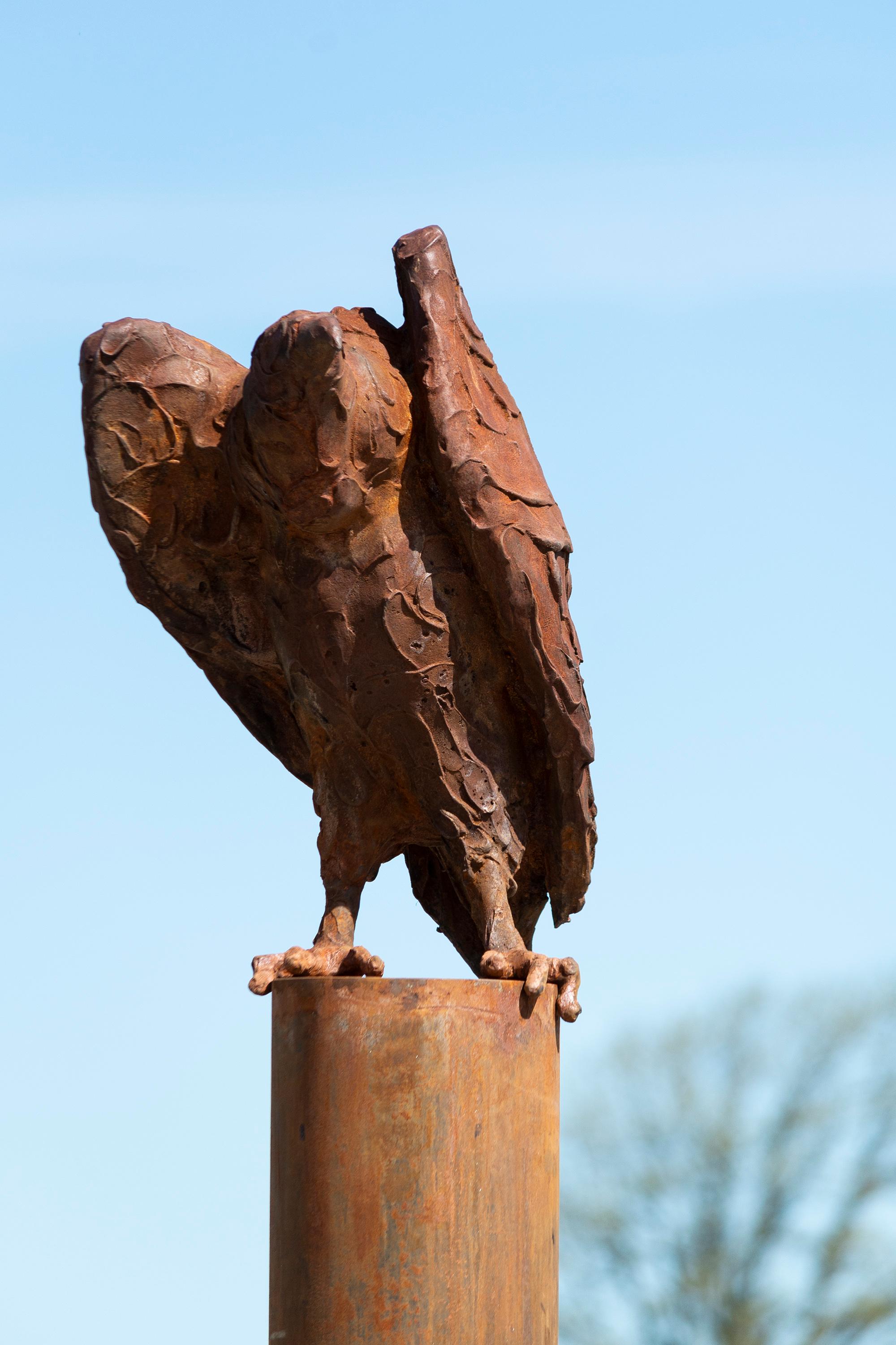 Buitre I - escultura rústica, figurativa, animal, ave, hierro fundido, exterior 4